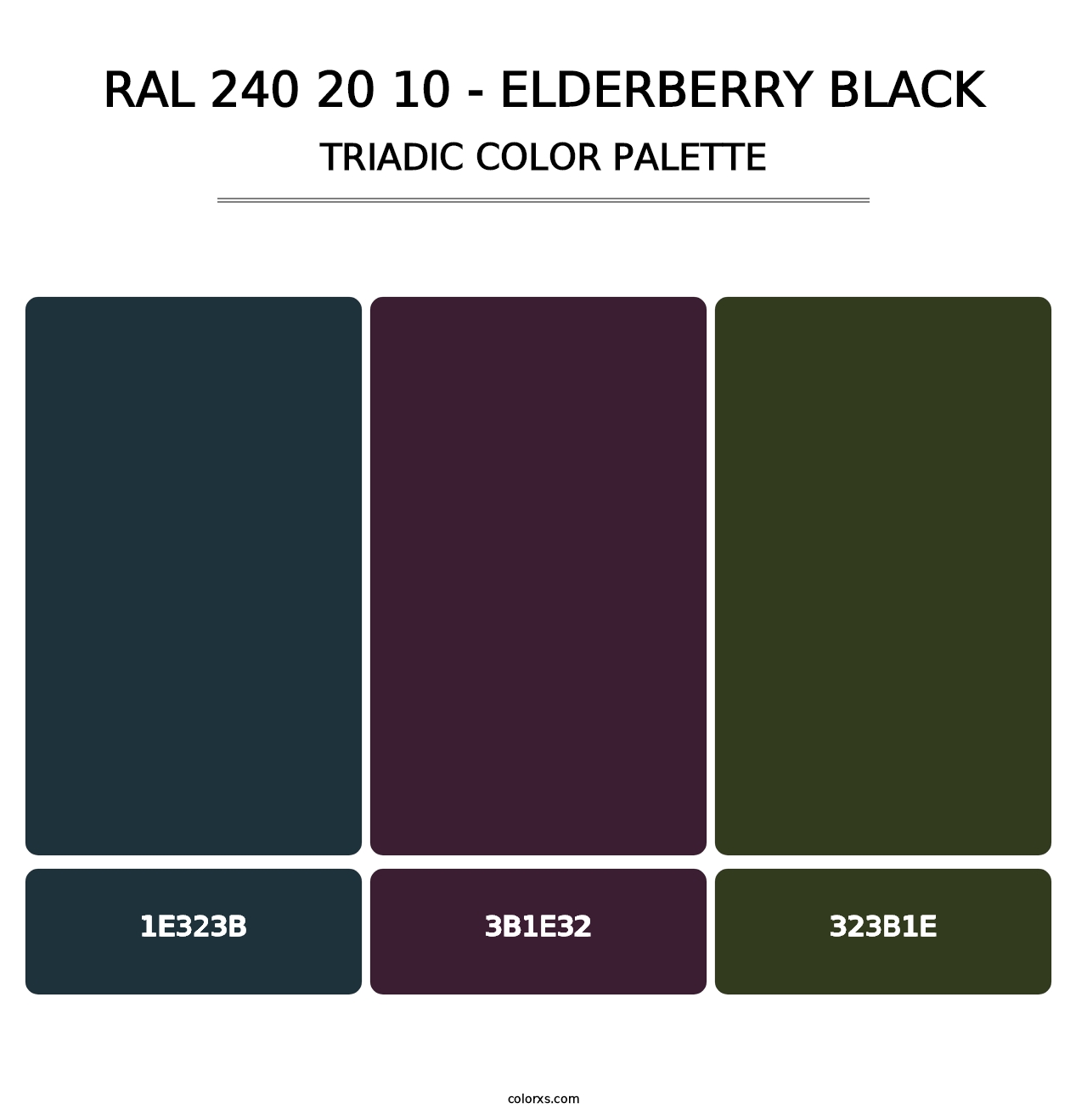 RAL 240 20 10 - Elderberry Black - Triadic Color Palette