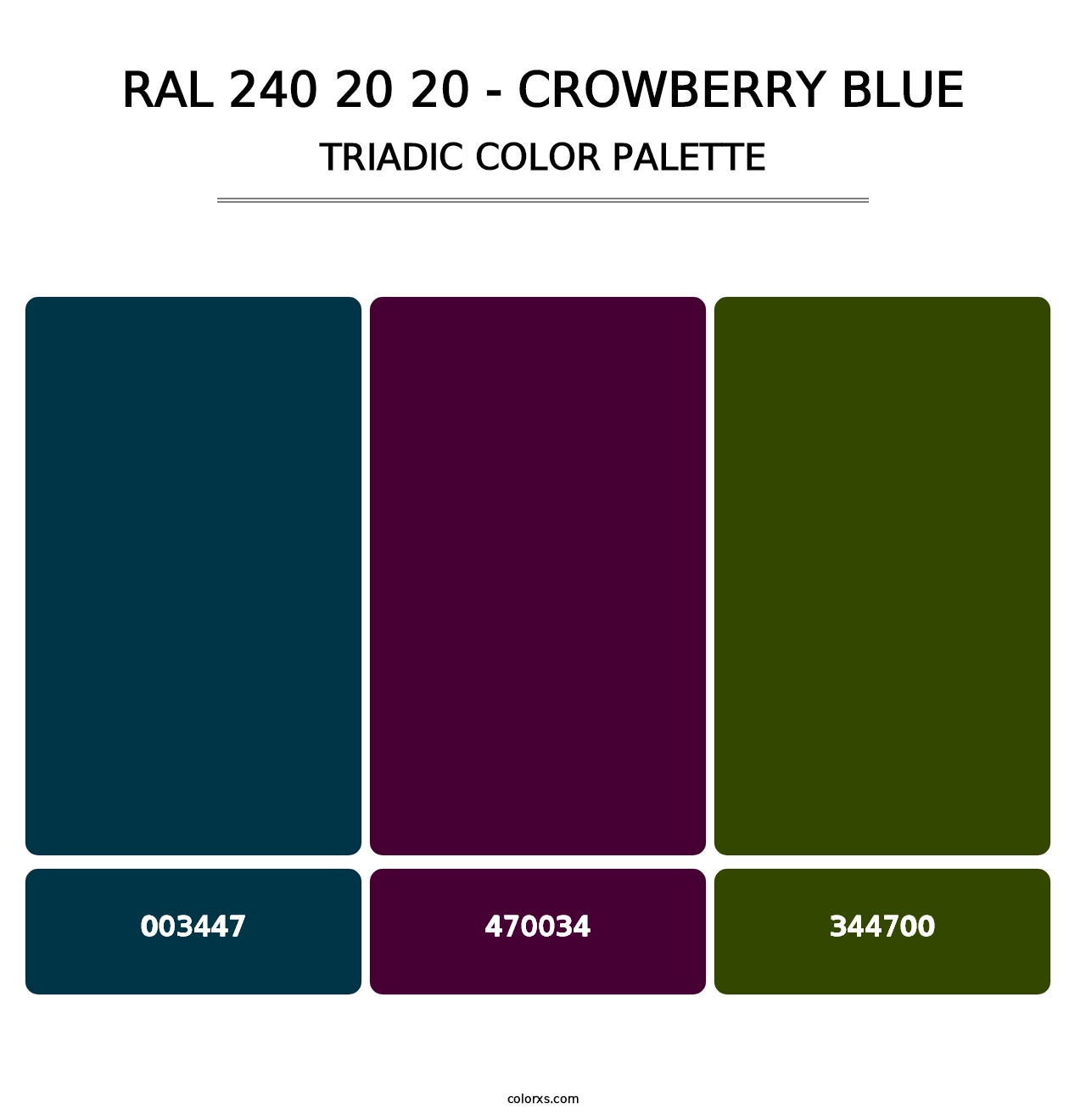 RAL 240 20 20 - Crowberry Blue - Triadic Color Palette