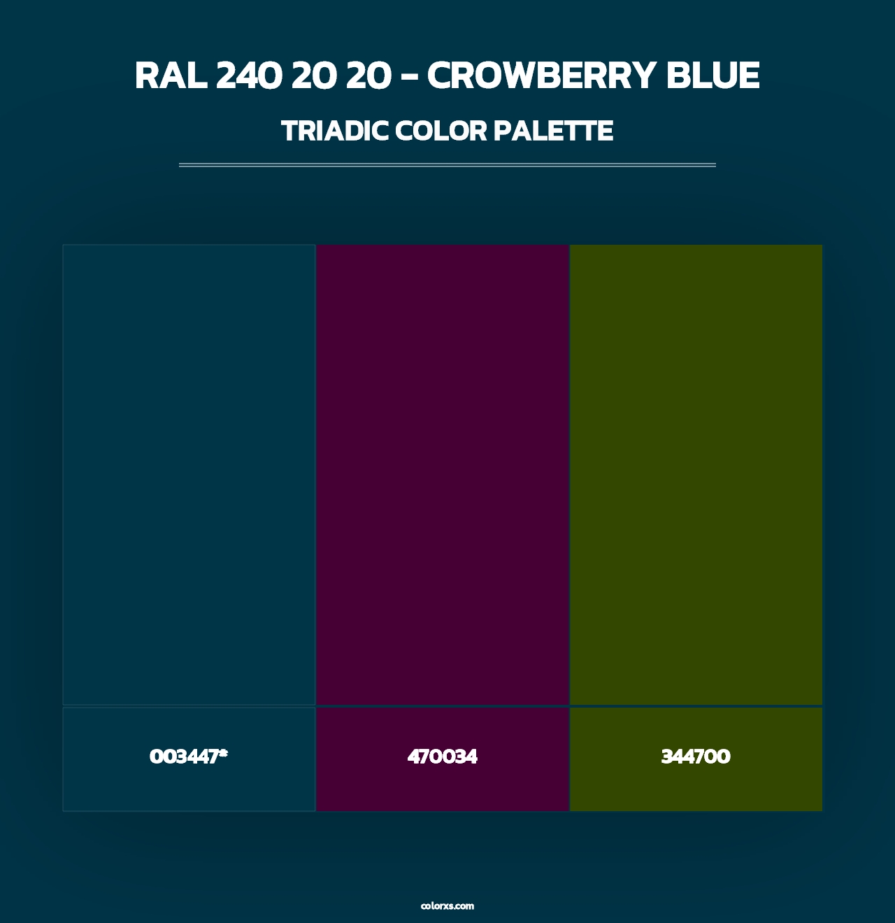 RAL 240 20 20 - Crowberry Blue - Triadic Color Palette