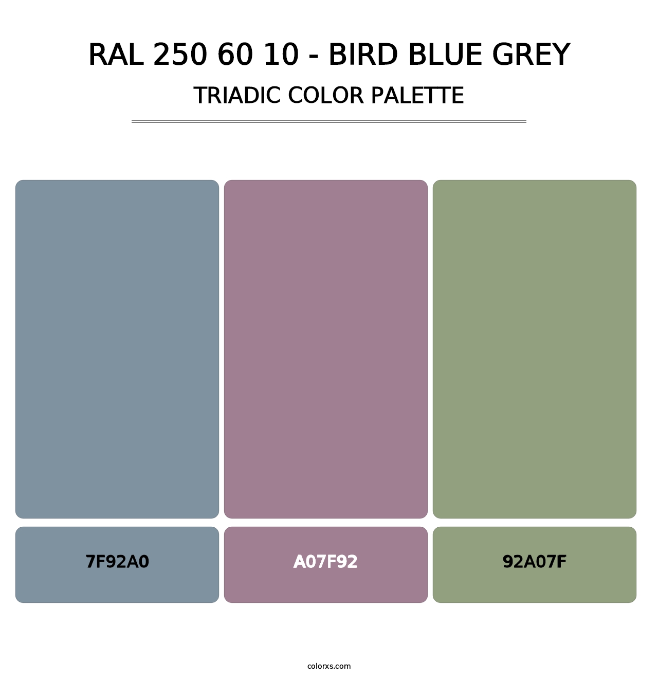 RAL 250 60 10 - Bird Blue Grey - Triadic Color Palette