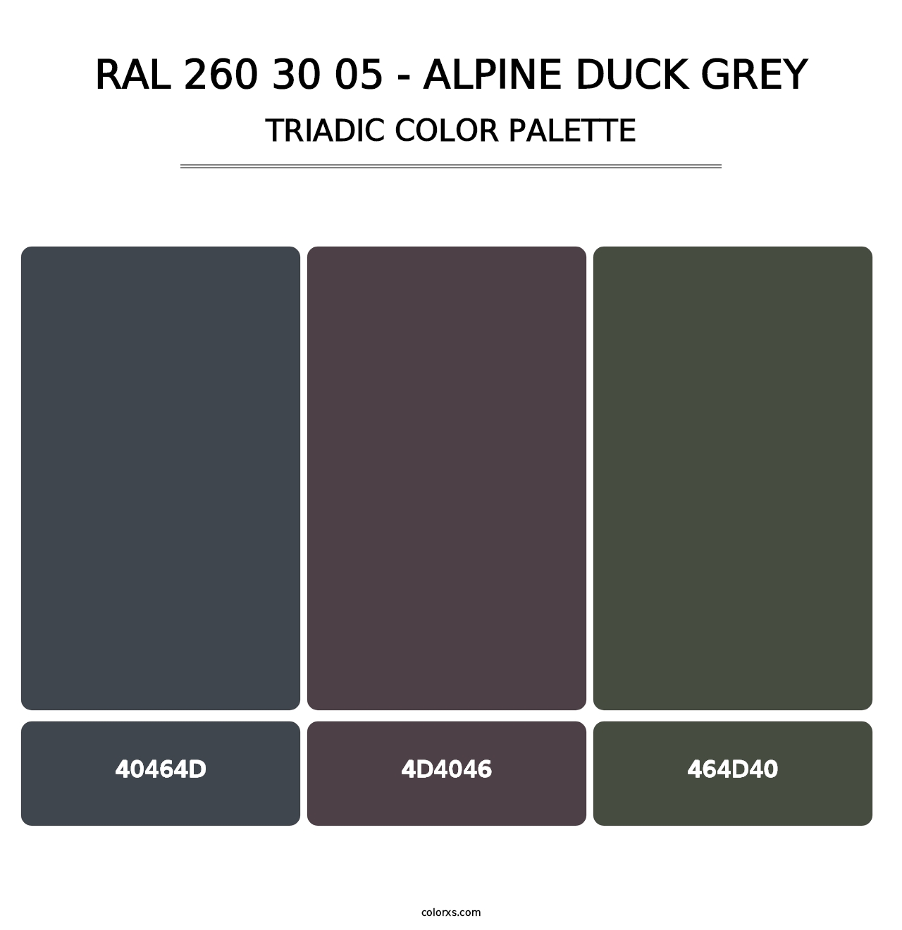 RAL 260 30 05 - Alpine Duck Grey - Triadic Color Palette