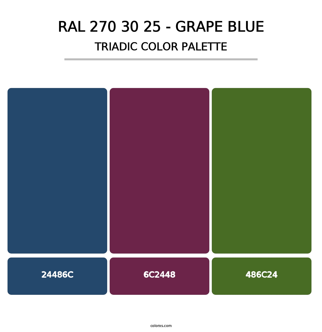 RAL 270 30 25 - Grape Blue - Triadic Color Palette
