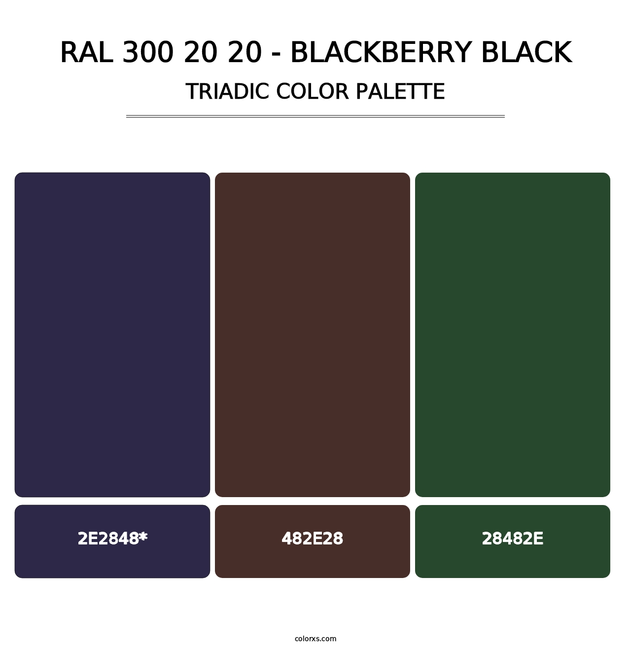 RAL 300 20 20 - Blackberry Black - Triadic Color Palette
