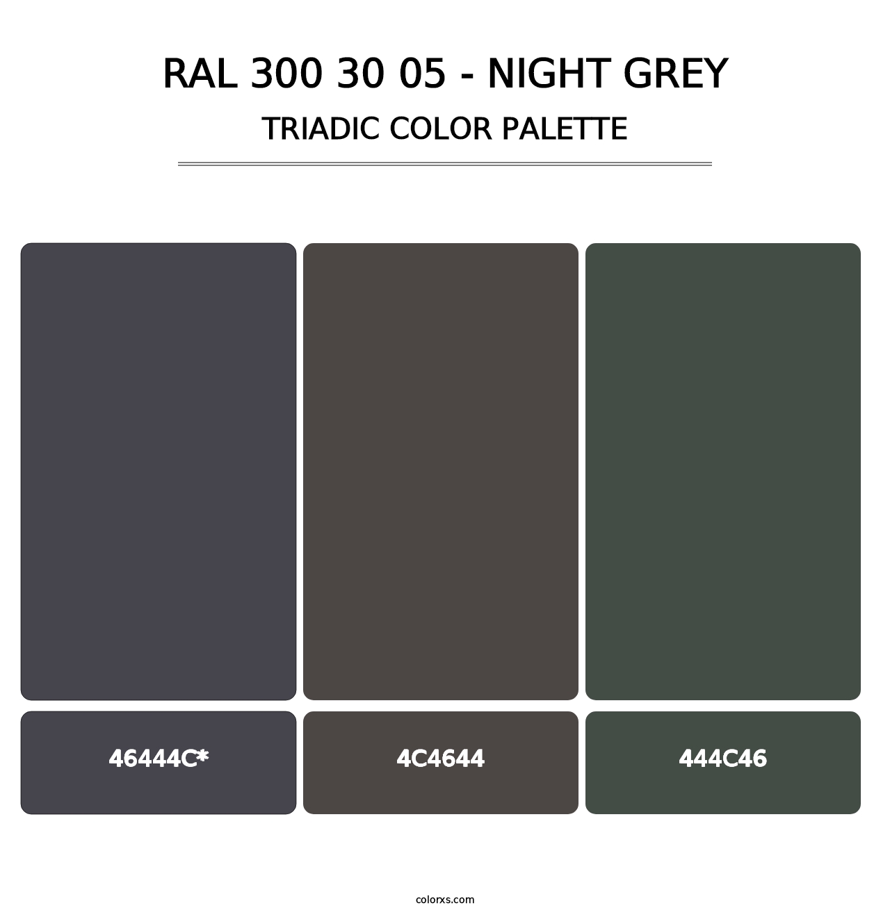 RAL 300 30 05 - Night Grey - Triadic Color Palette