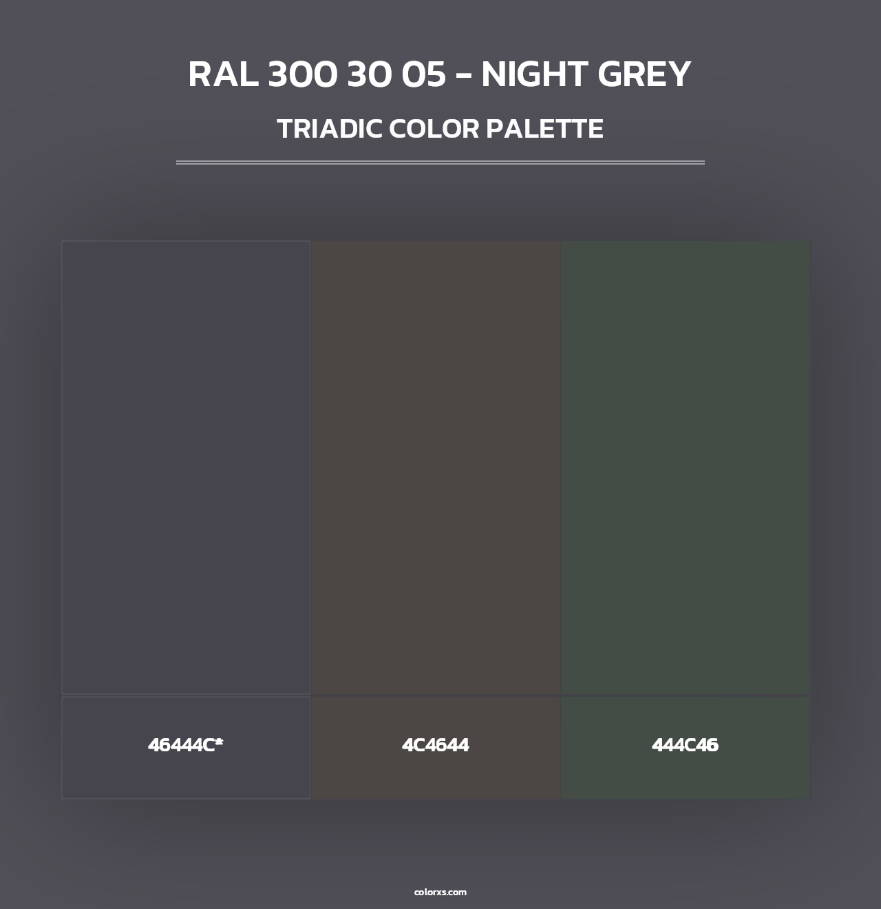 RAL 300 30 05 - Night Grey - Triadic Color Palette