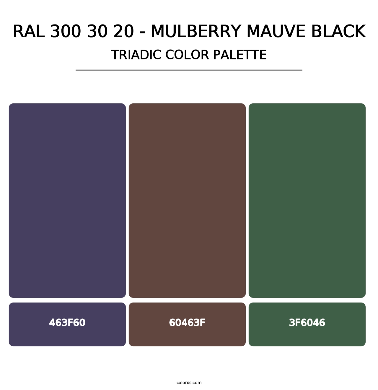RAL 300 30 20 - Mulberry Mauve Black - Triadic Color Palette