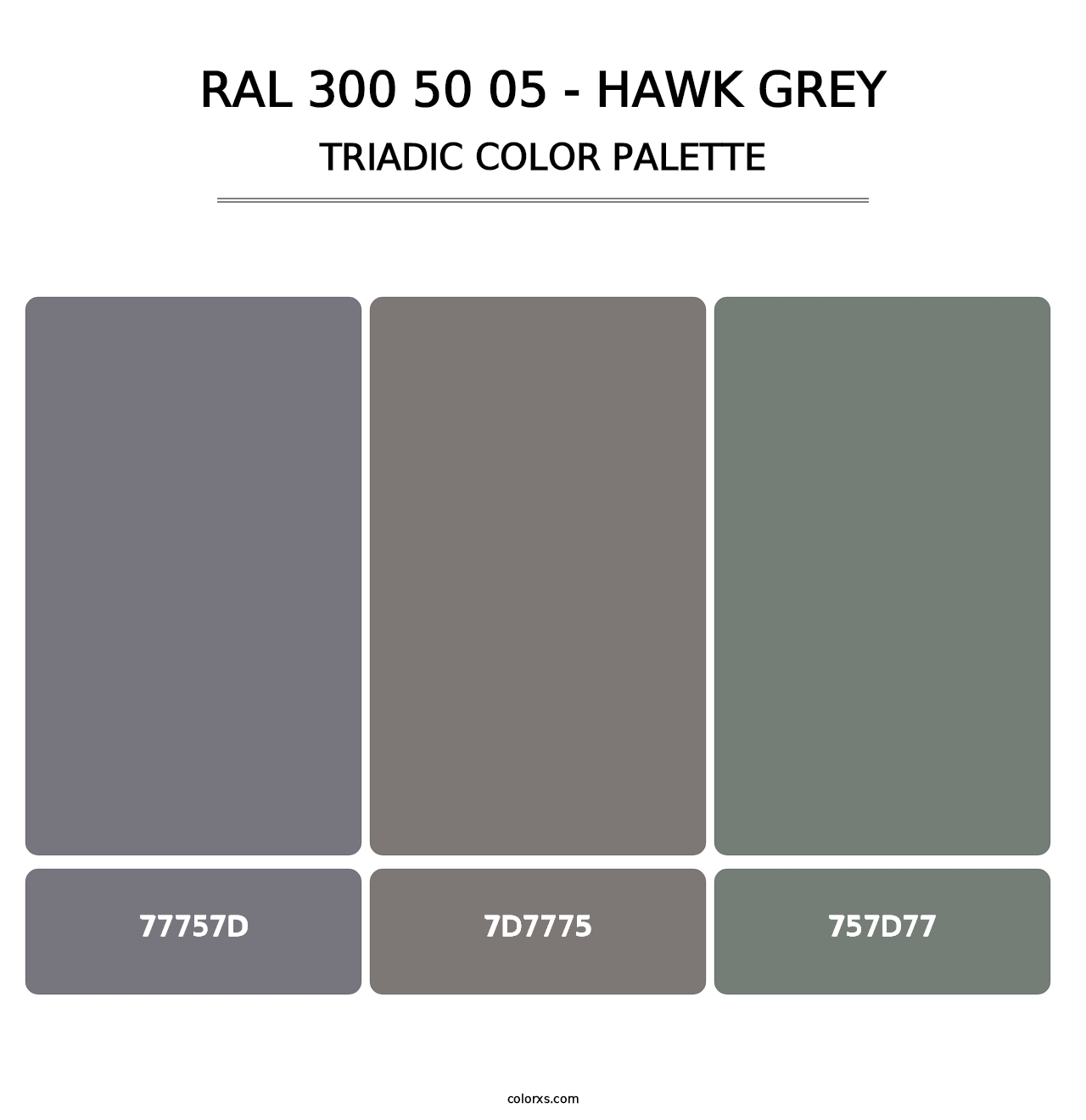 RAL 300 50 05 - Hawk Grey - Triadic Color Palette