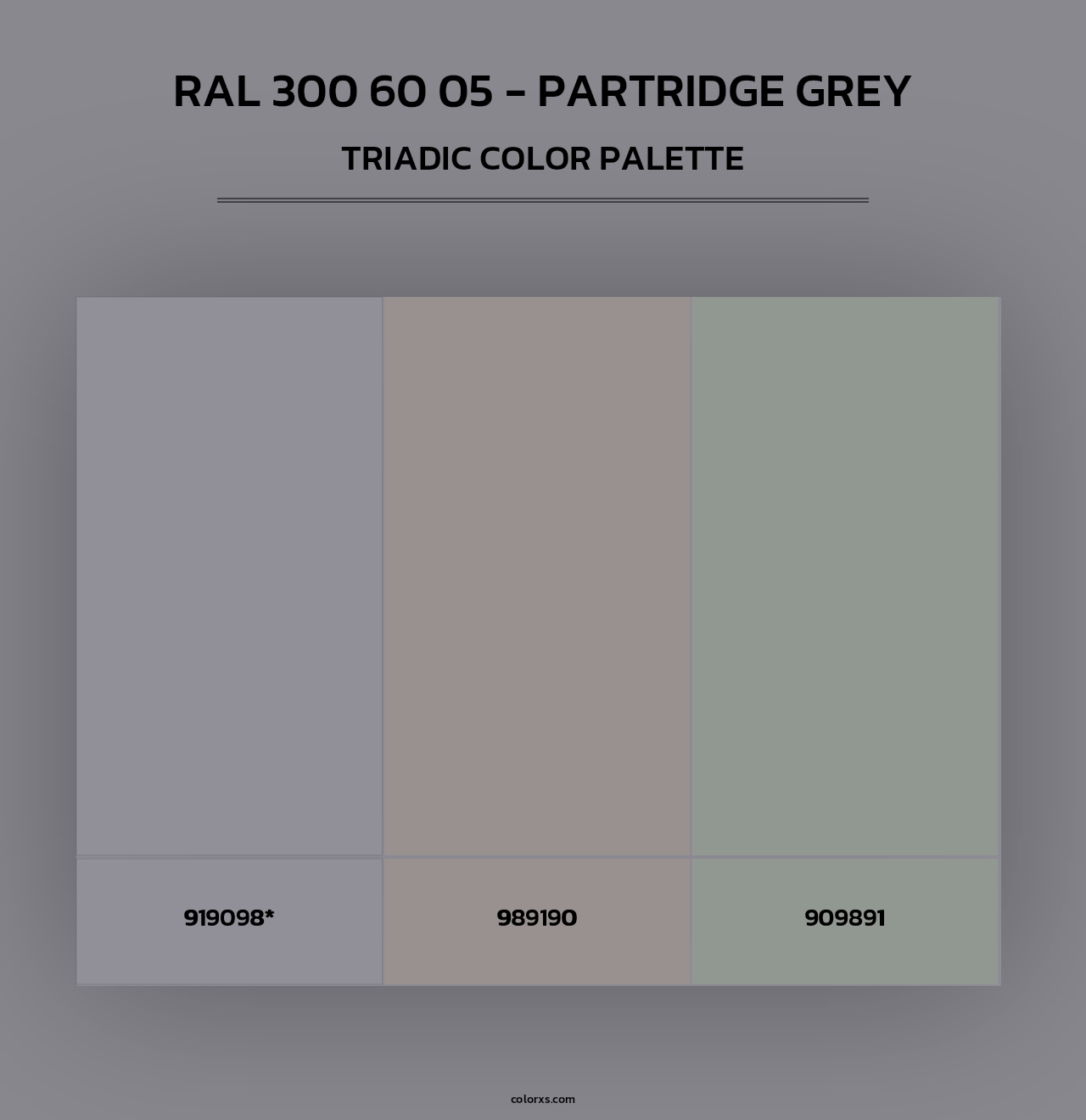 RAL 300 60 05 - Partridge Grey - Triadic Color Palette