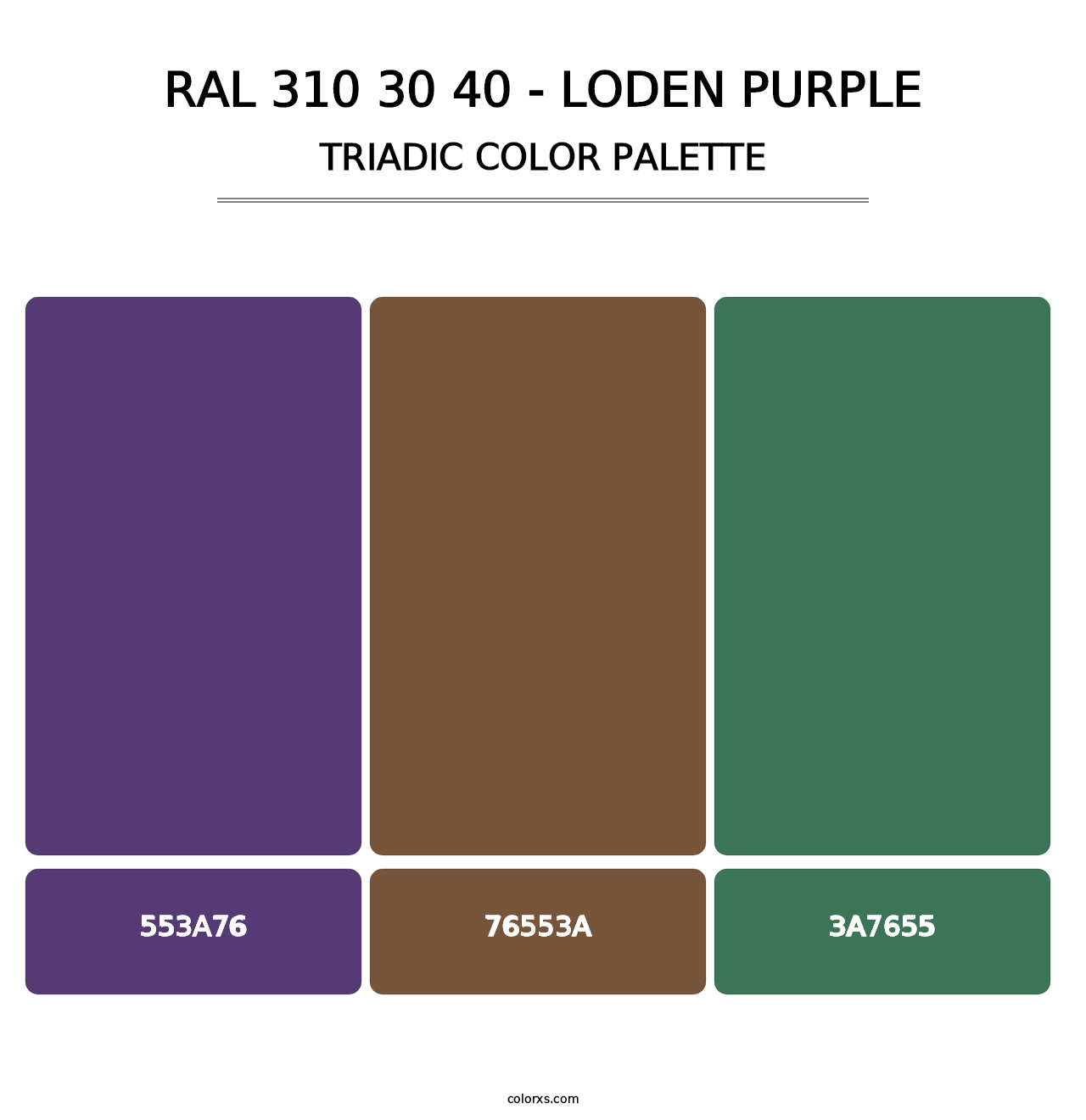 RAL 310 30 40 - Loden Purple - Triadic Color Palette