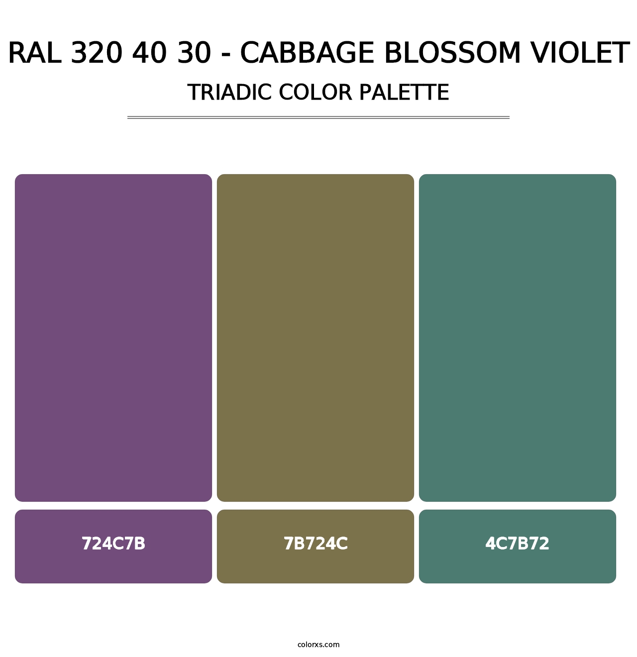RAL 320 40 30 - Cabbage Blossom Violet - Triadic Color Palette
