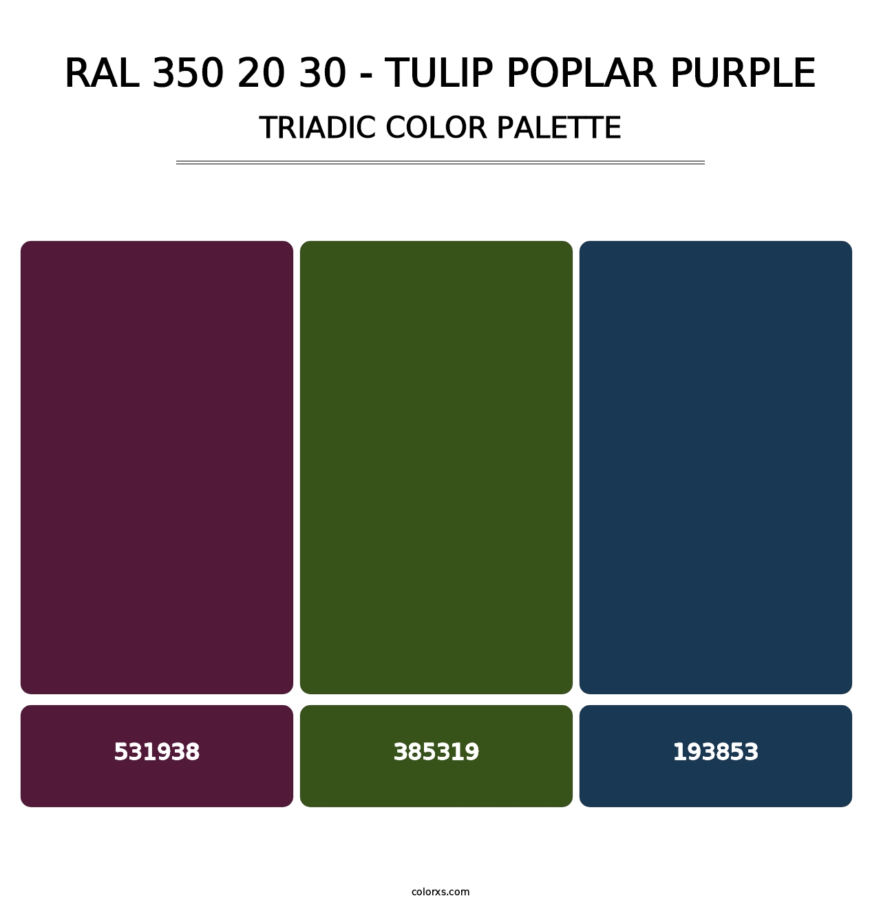 RAL 350 20 30 - Tulip Poplar Purple - Triadic Color Palette