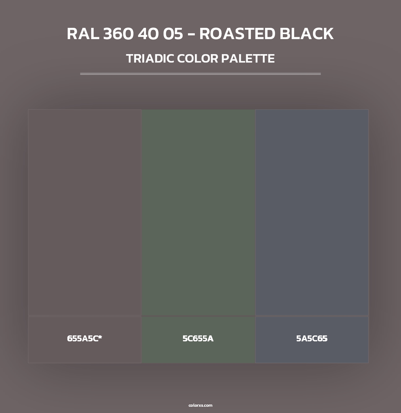 RAL 360 40 05 - Roasted Black - Triadic Color Palette
