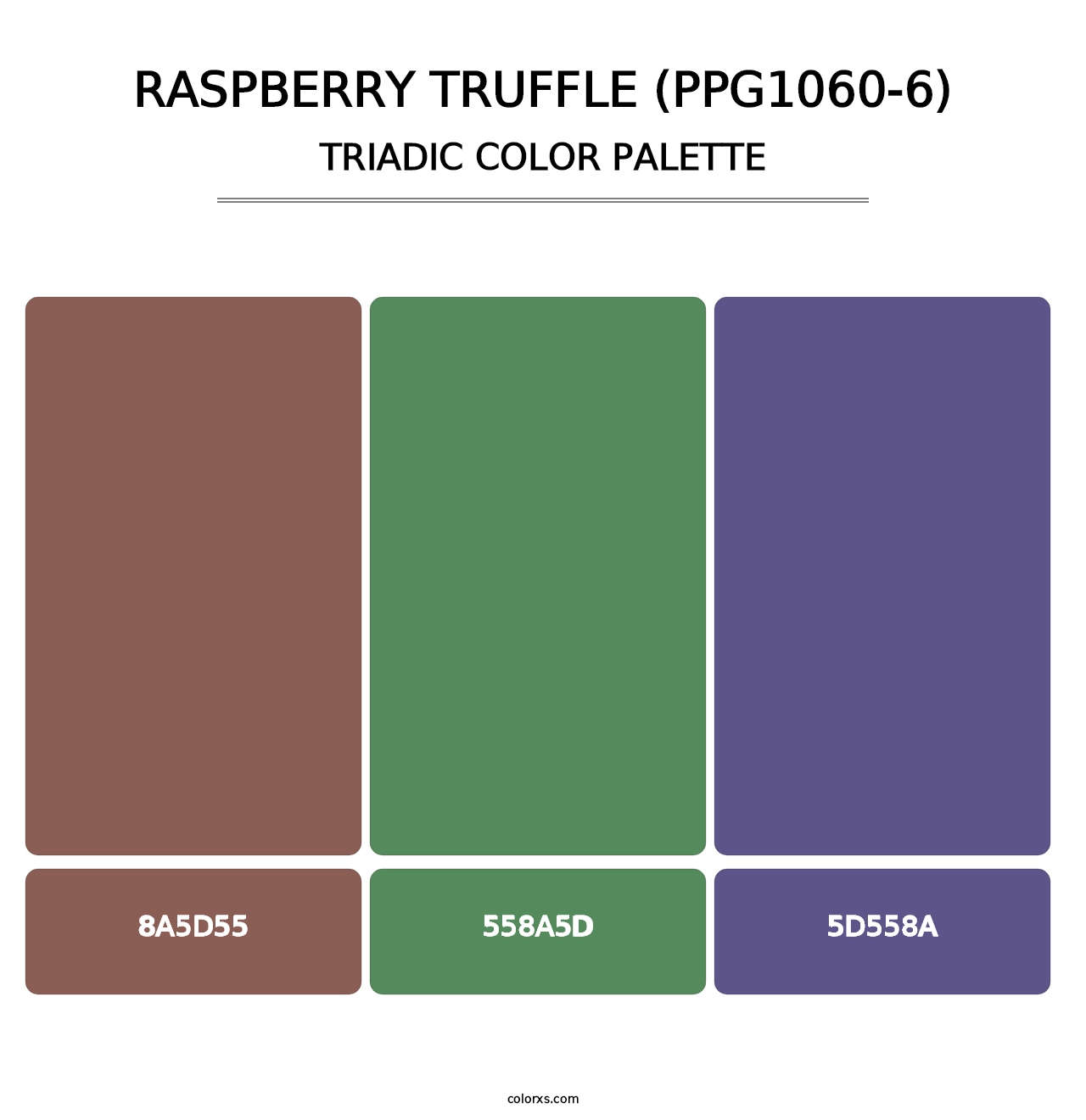 Raspberry Truffle (PPG1060-6) - Triadic Color Palette