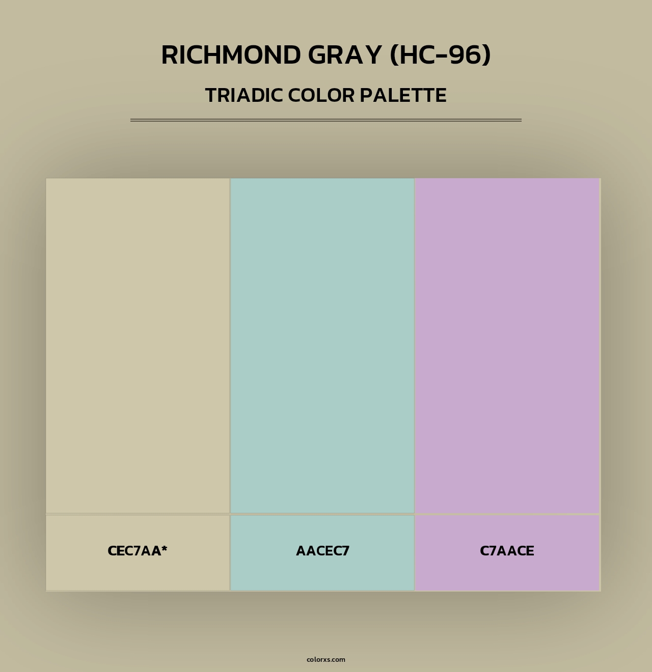 Richmond Gray (HC-96) - Triadic Color Palette