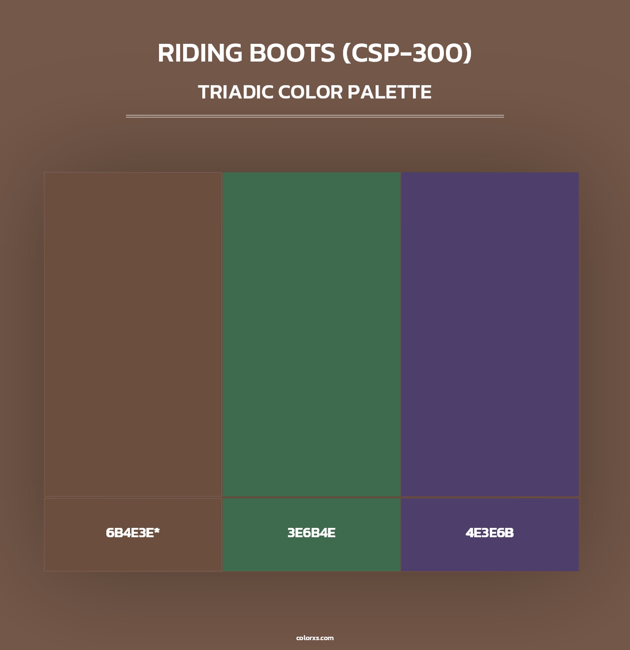 Riding Boots (CSP-300) - Triadic Color Palette