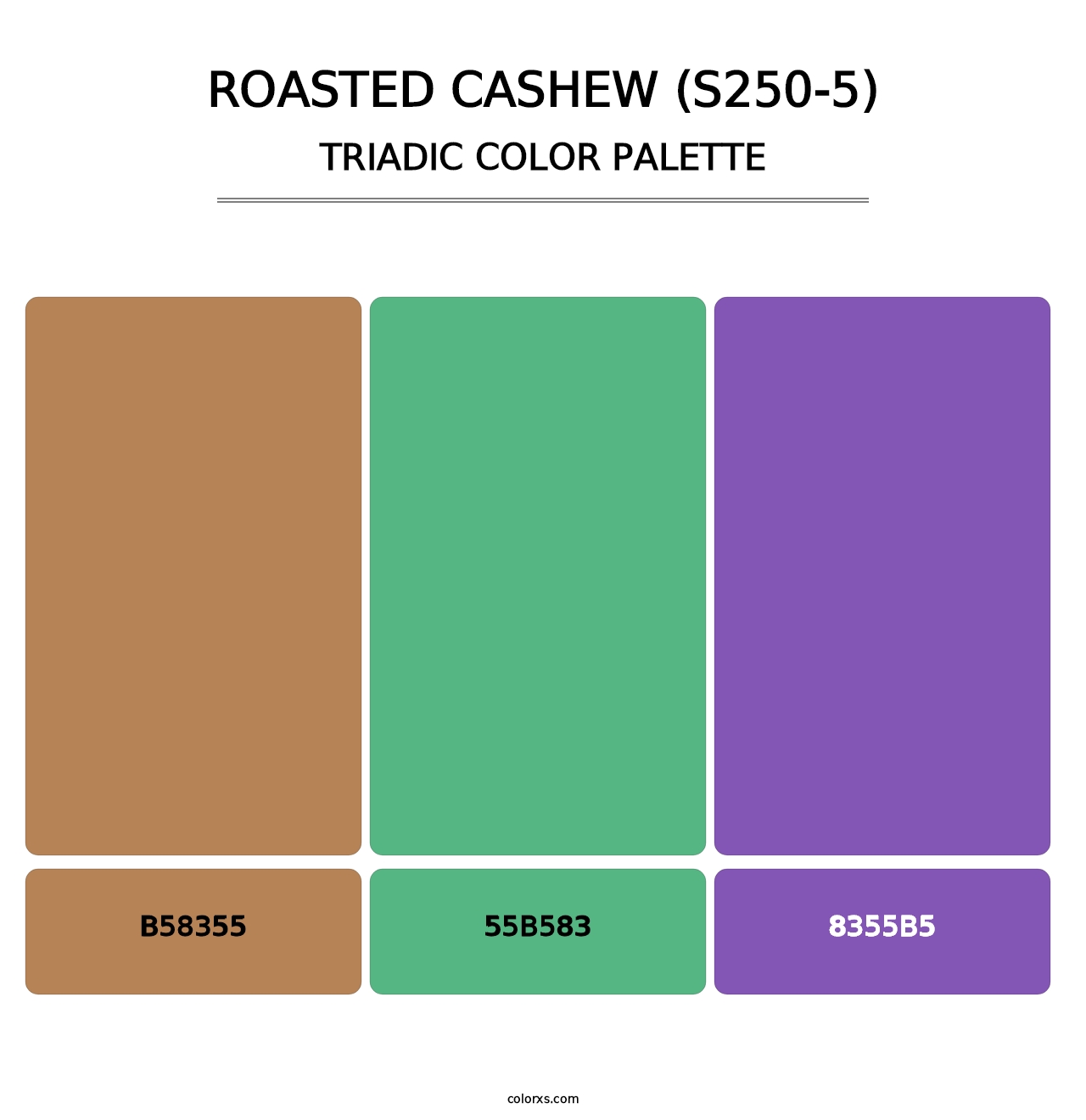 Roasted Cashew (S250-5) - Triadic Color Palette