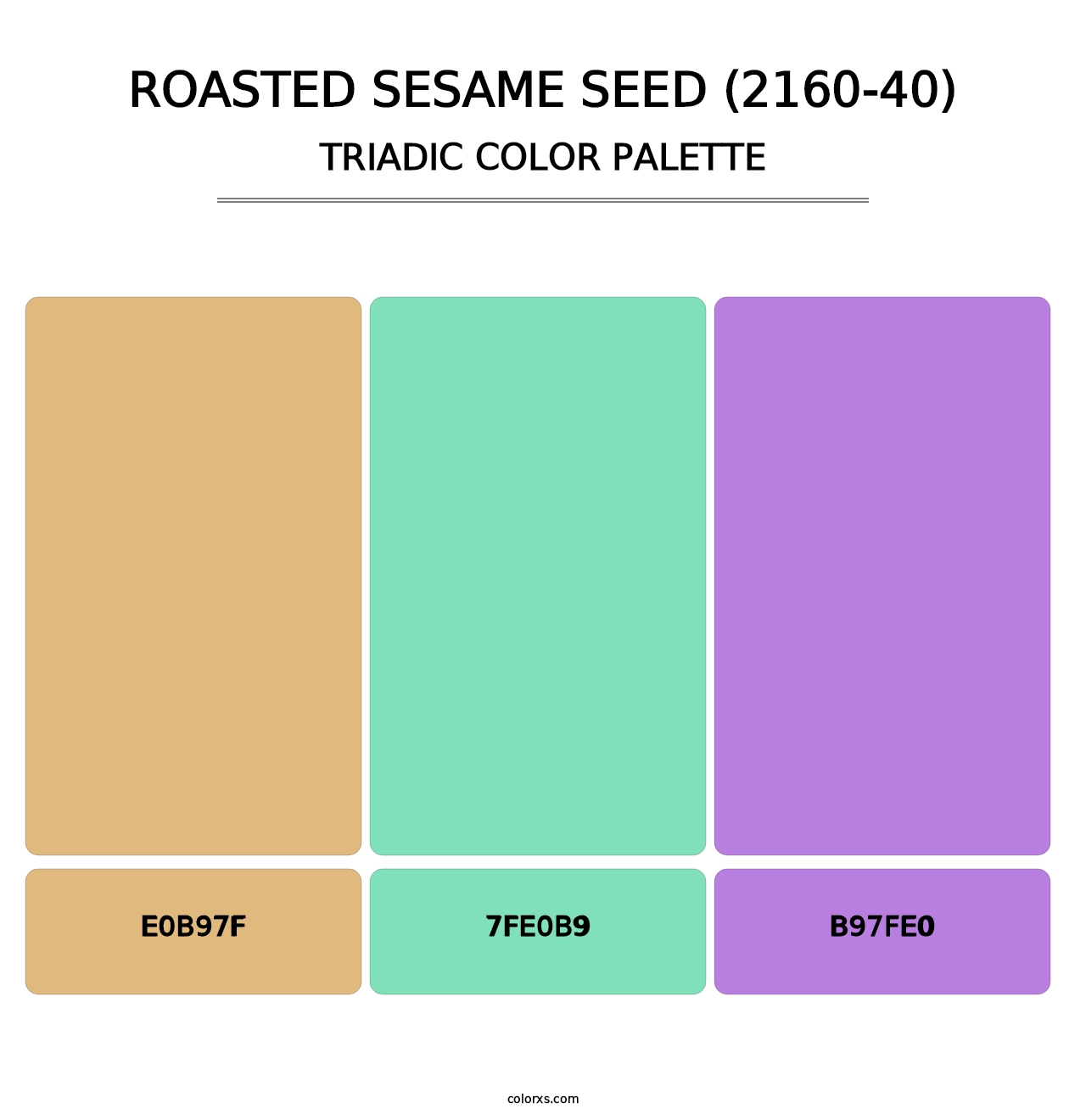 Roasted Sesame Seed (2160-40) - Triadic Color Palette