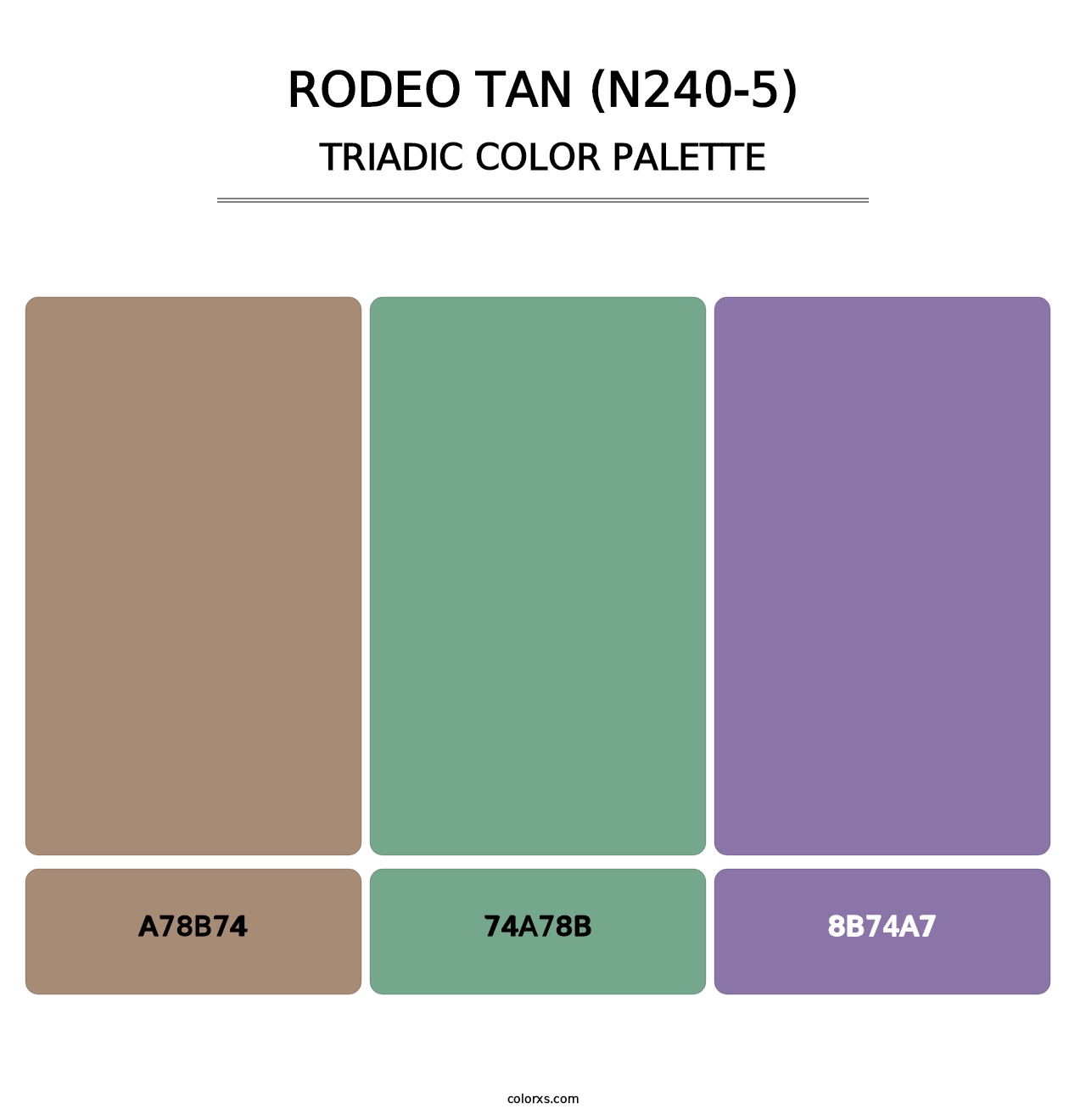 Rodeo Tan (N240-5) - Triadic Color Palette