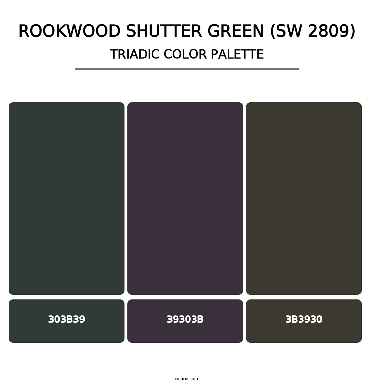 Rookwood Shutter Green (SW 2809) - Triadic Color Palette