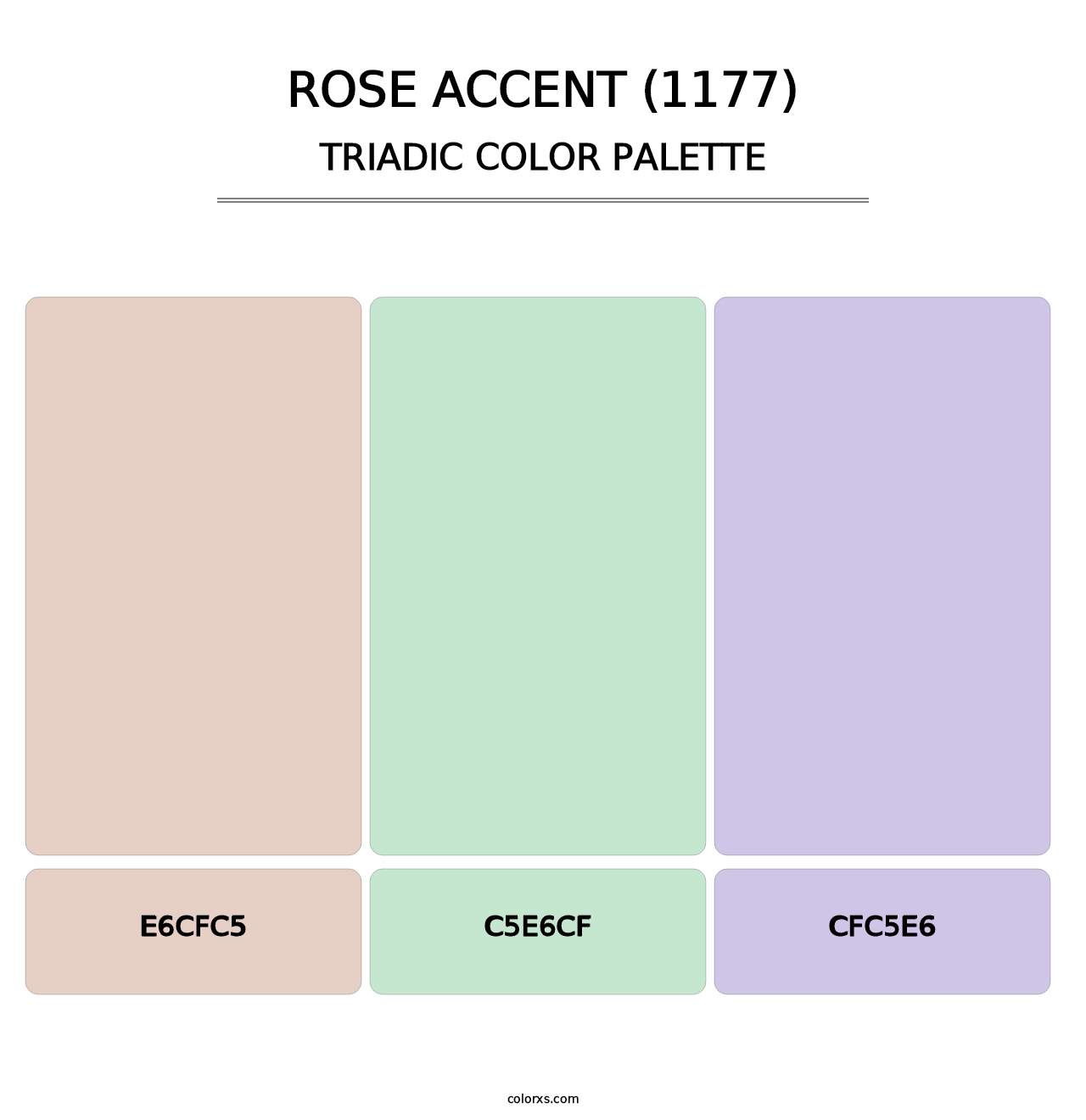 Rose Accent (1177) - Triadic Color Palette