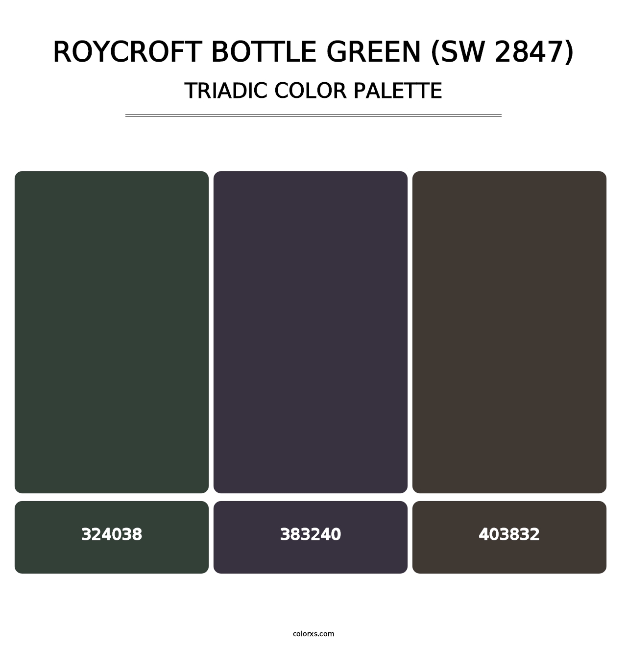 Roycroft Bottle Green (SW 2847) - Triadic Color Palette