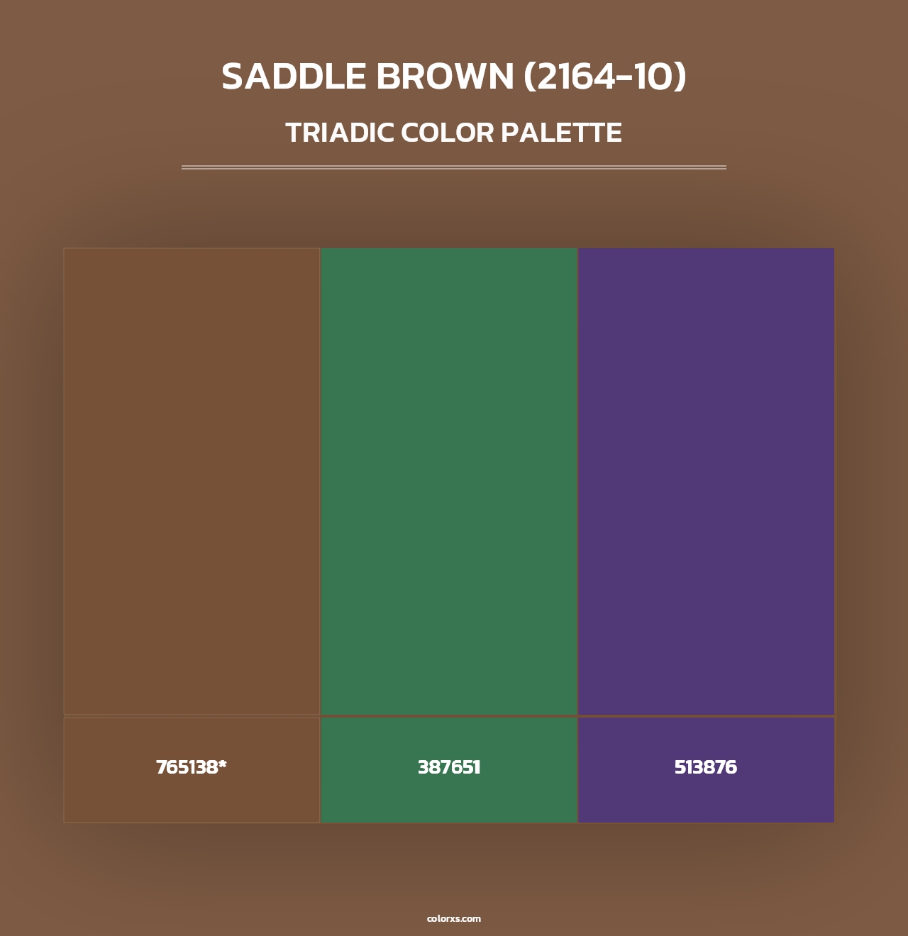 Saddle Brown (2164-10) - Triadic Color Palette