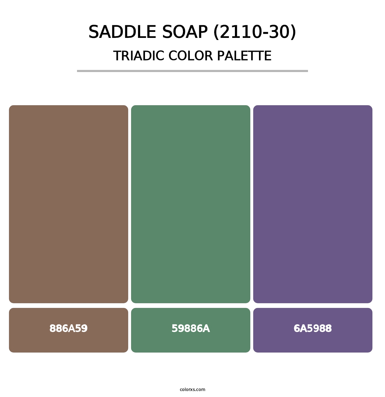 Saddle Soap (2110-30) - Triadic Color Palette