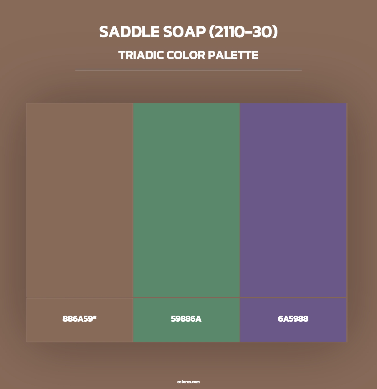 Saddle Soap (2110-30) - Triadic Color Palette