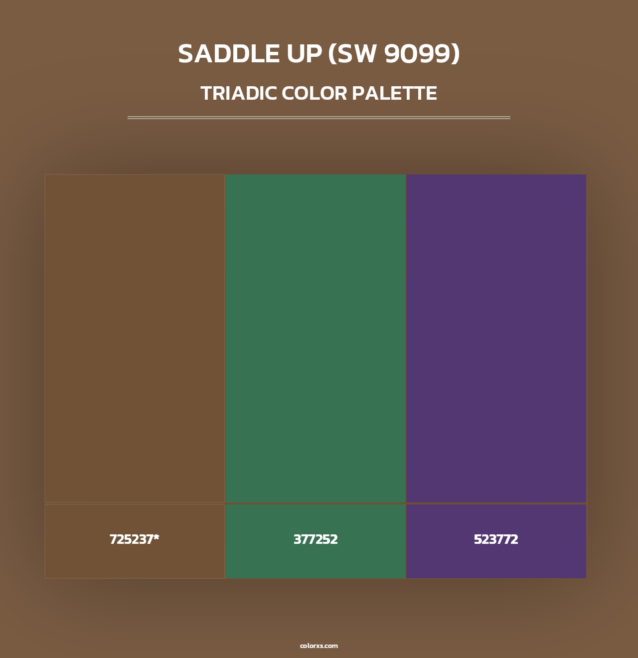 Saddle Up (SW 9099) - Triadic Color Palette