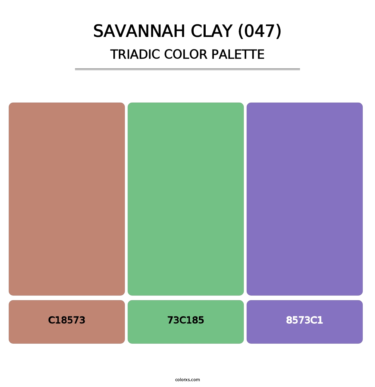 Savannah Clay (047) - Triadic Color Palette