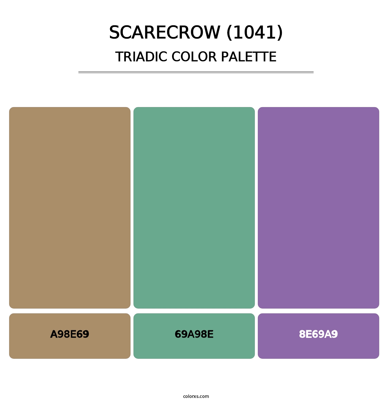 Scarecrow (1041) - Triadic Color Palette