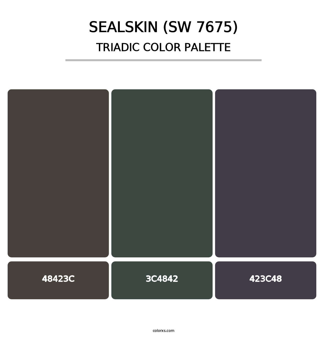 Sealskin (SW 7675) - Triadic Color Palette