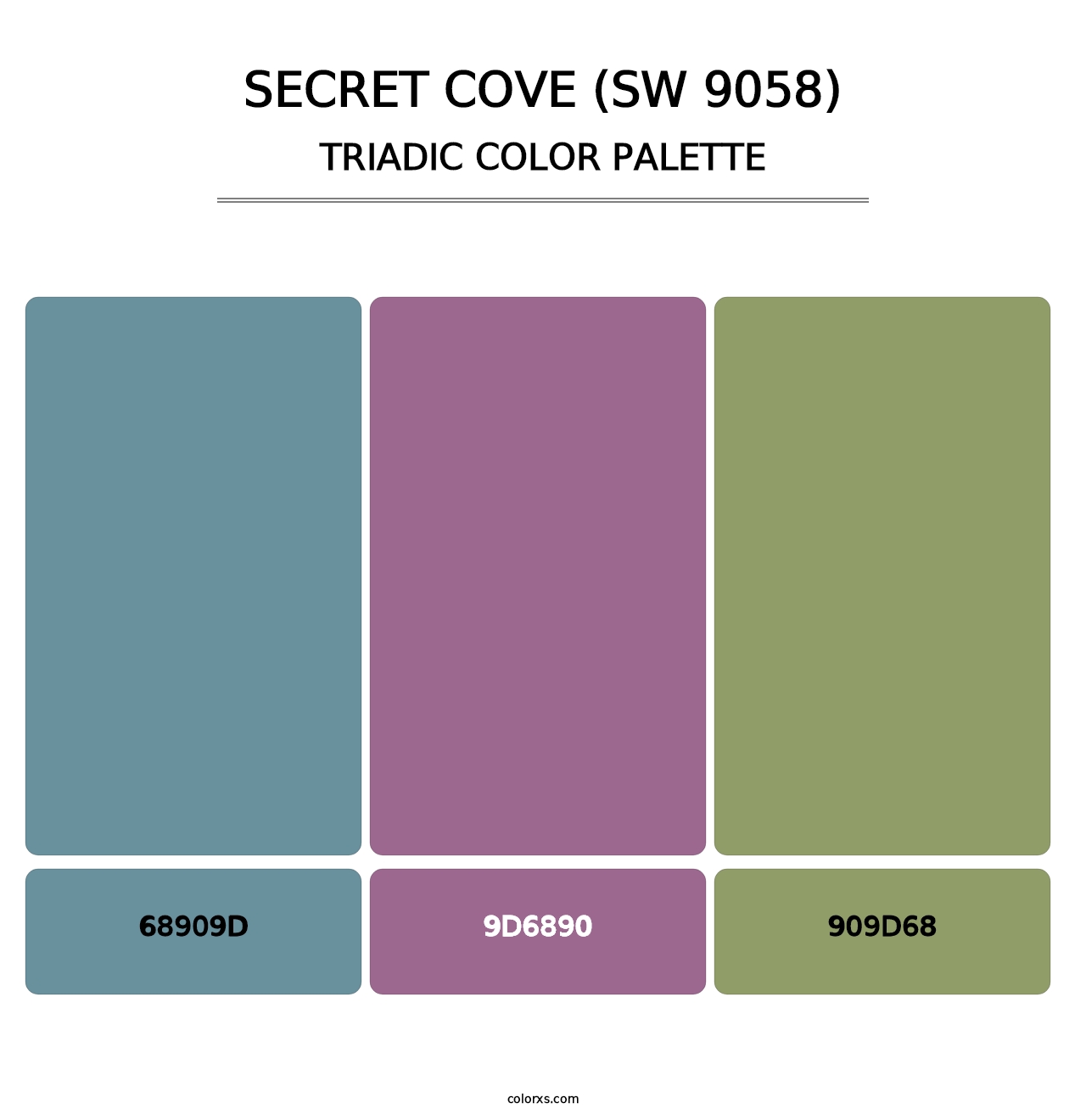 Secret Cove (SW 9058) - Triadic Color Palette