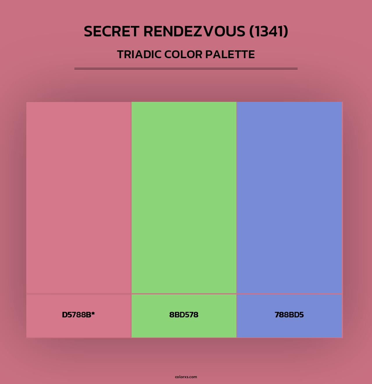 Secret Rendezvous (1341) - Triadic Color Palette