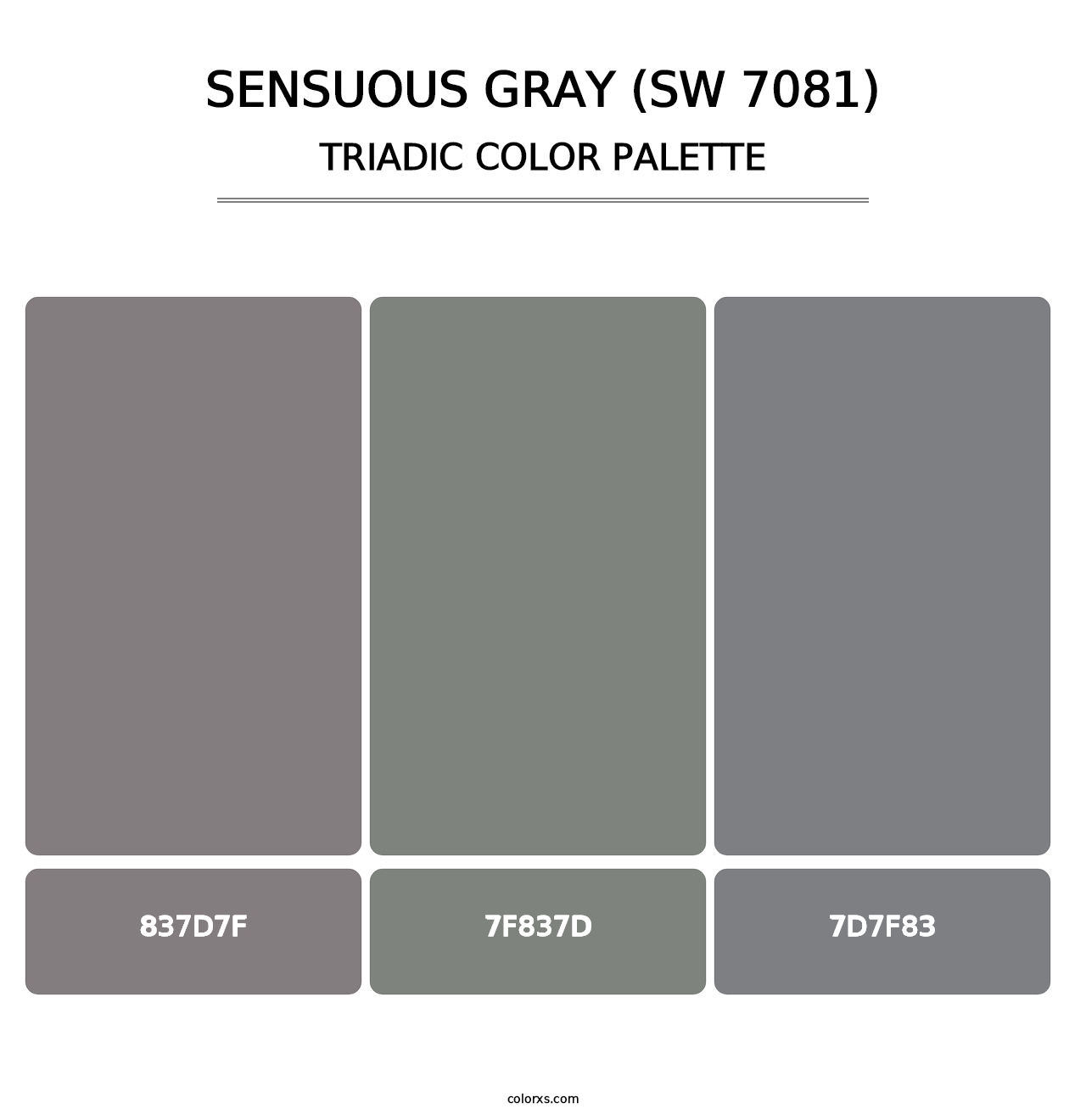 Sensuous Gray (SW 7081) - Triadic Color Palette