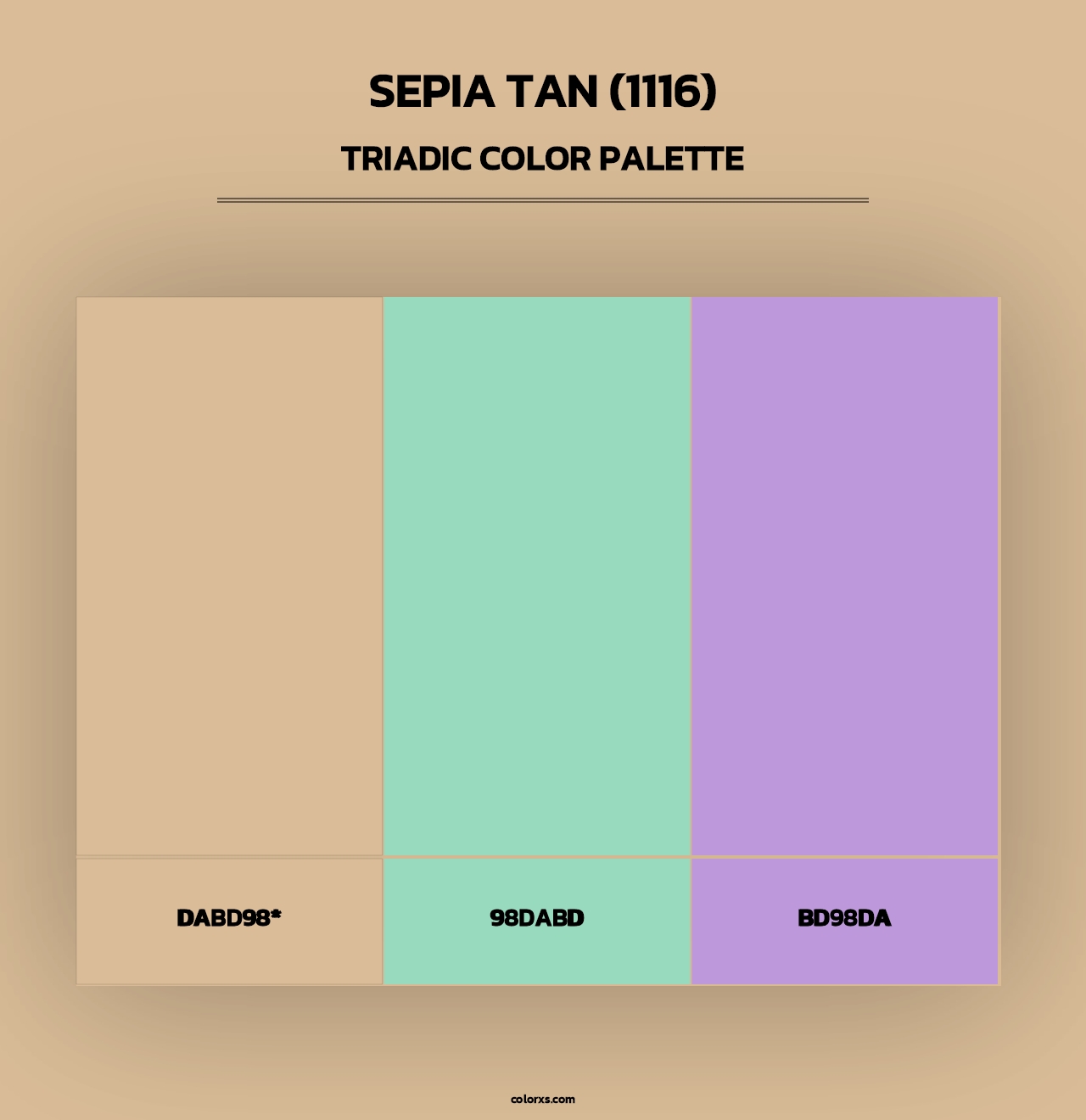 Sepia Tan (1116) - Triadic Color Palette