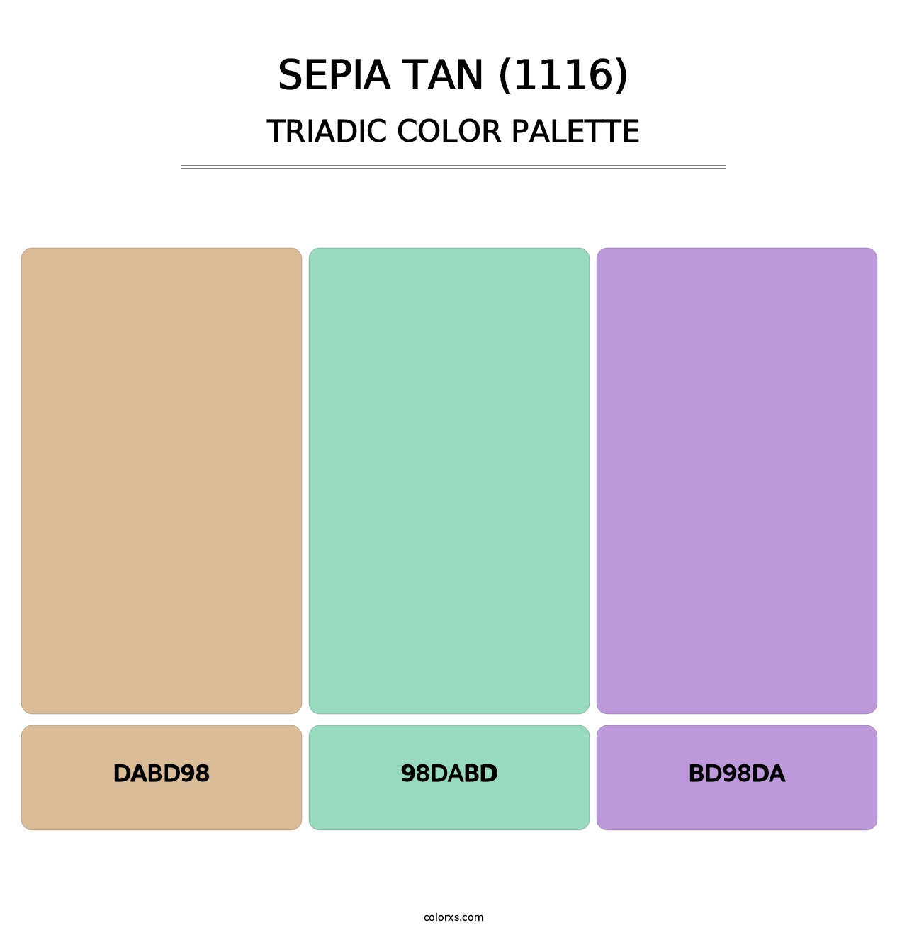 Sepia Tan (1116) - Triadic Color Palette