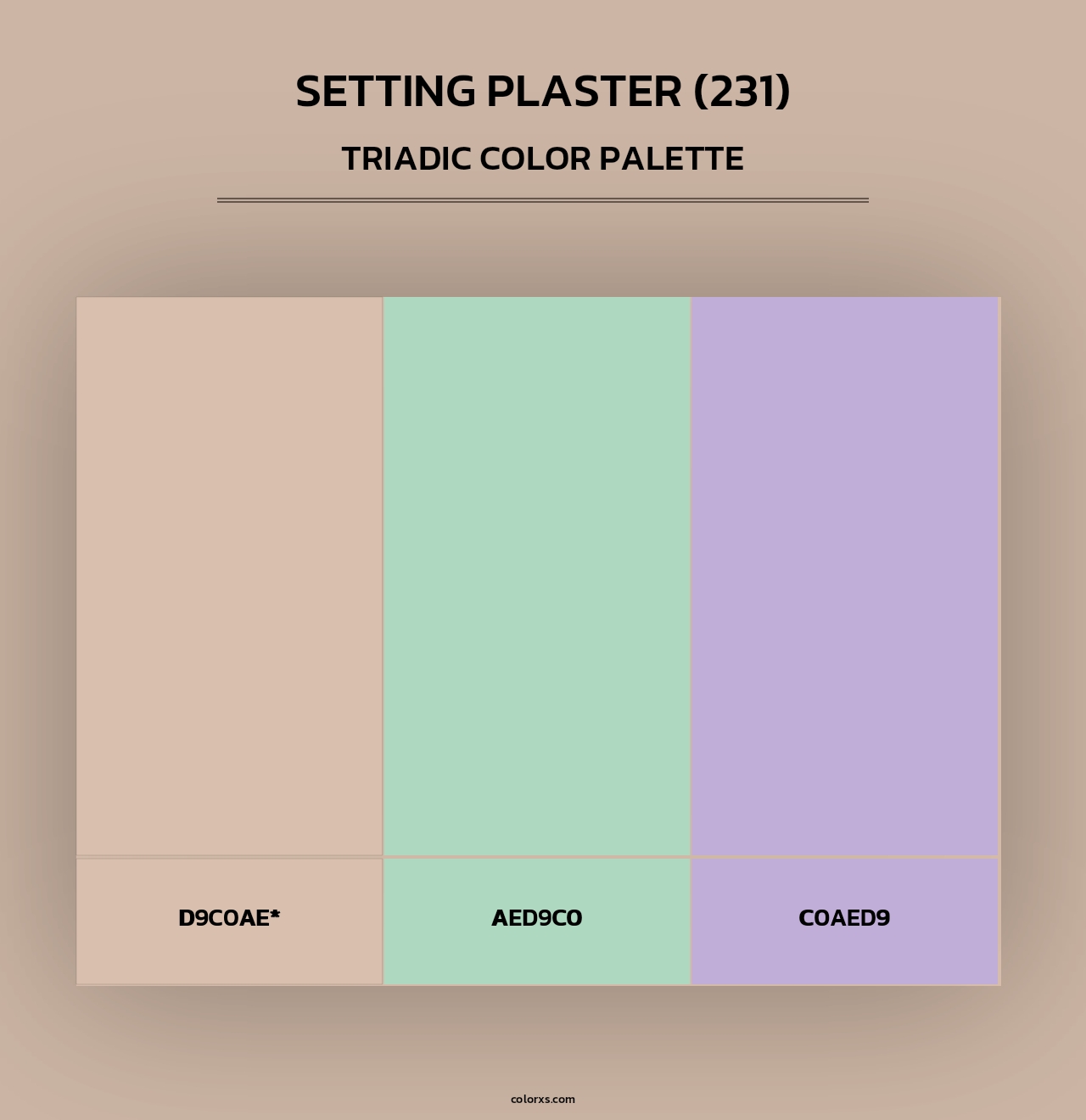 Setting Plaster (231) - Triadic Color Palette
