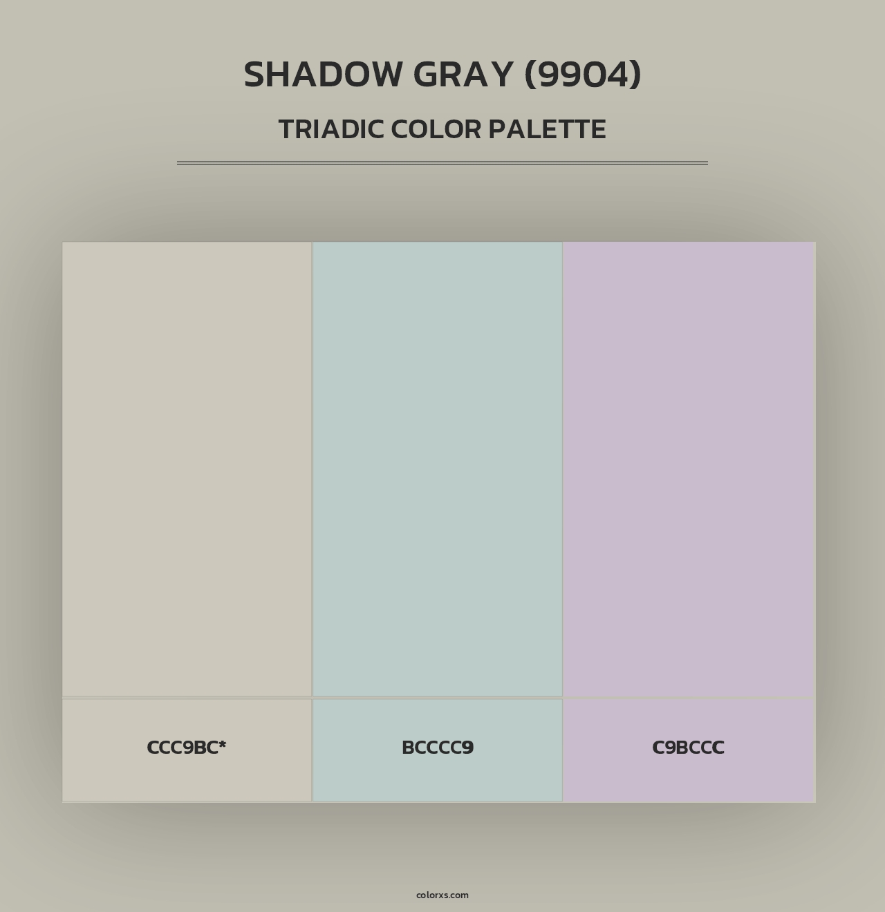Shadow Gray (9904) - Triadic Color Palette