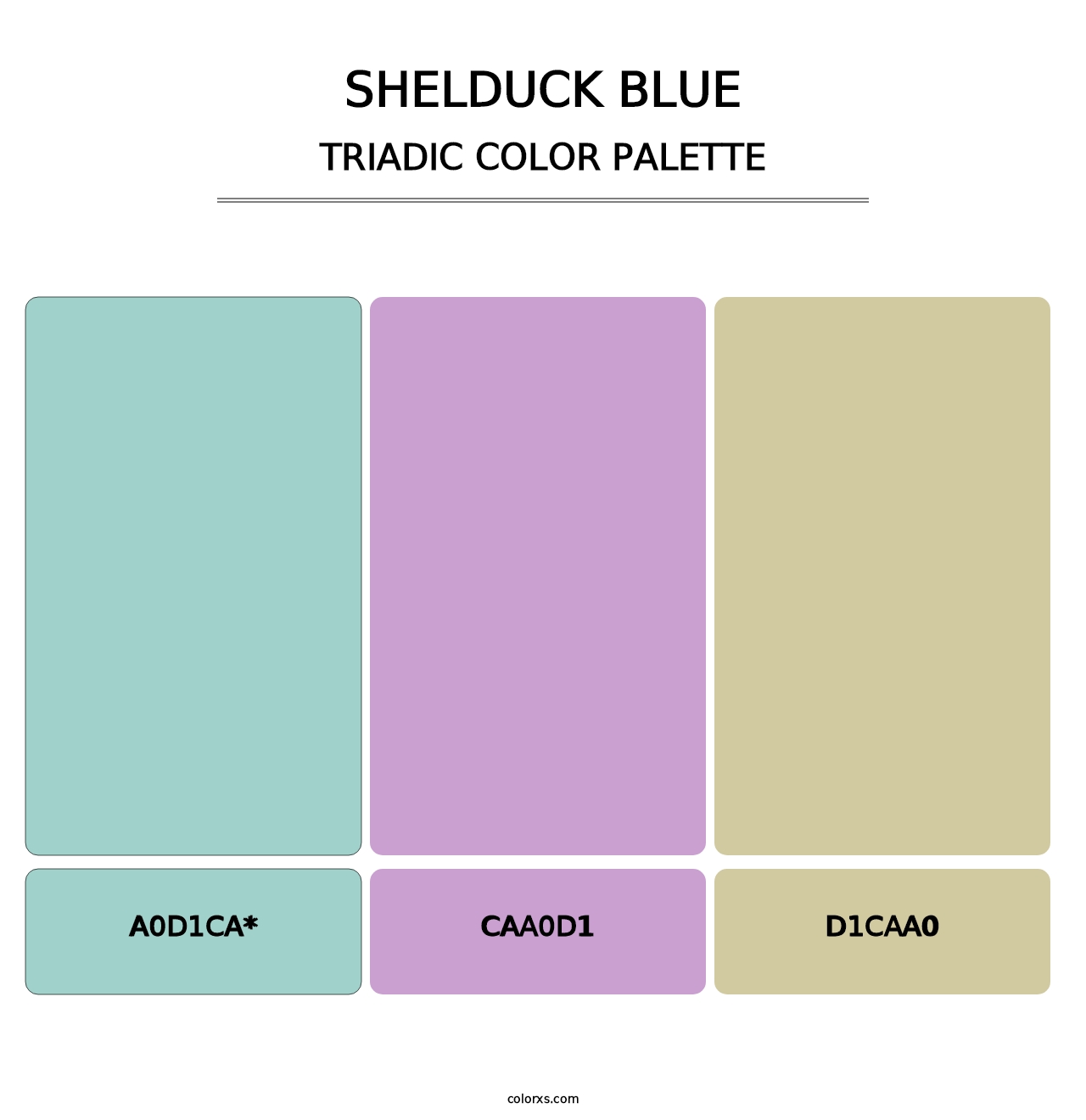 Shelduck Blue - Triadic Color Palette