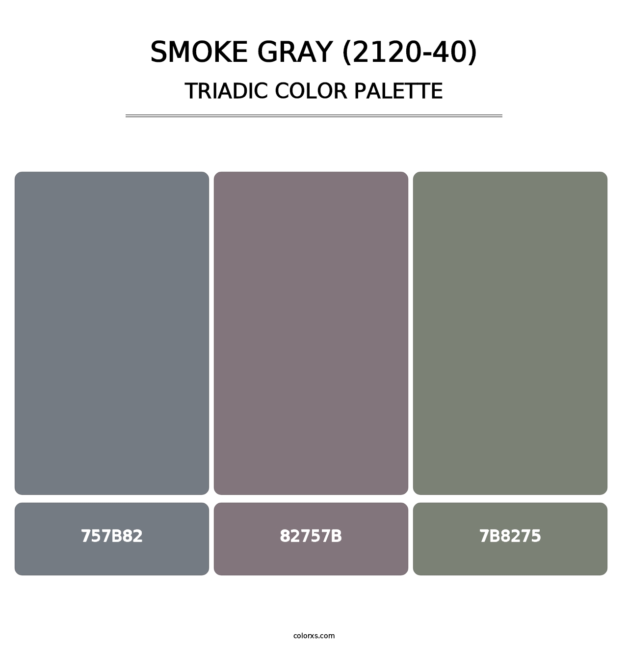 Smoke Gray (2120-40) - Triadic Color Palette