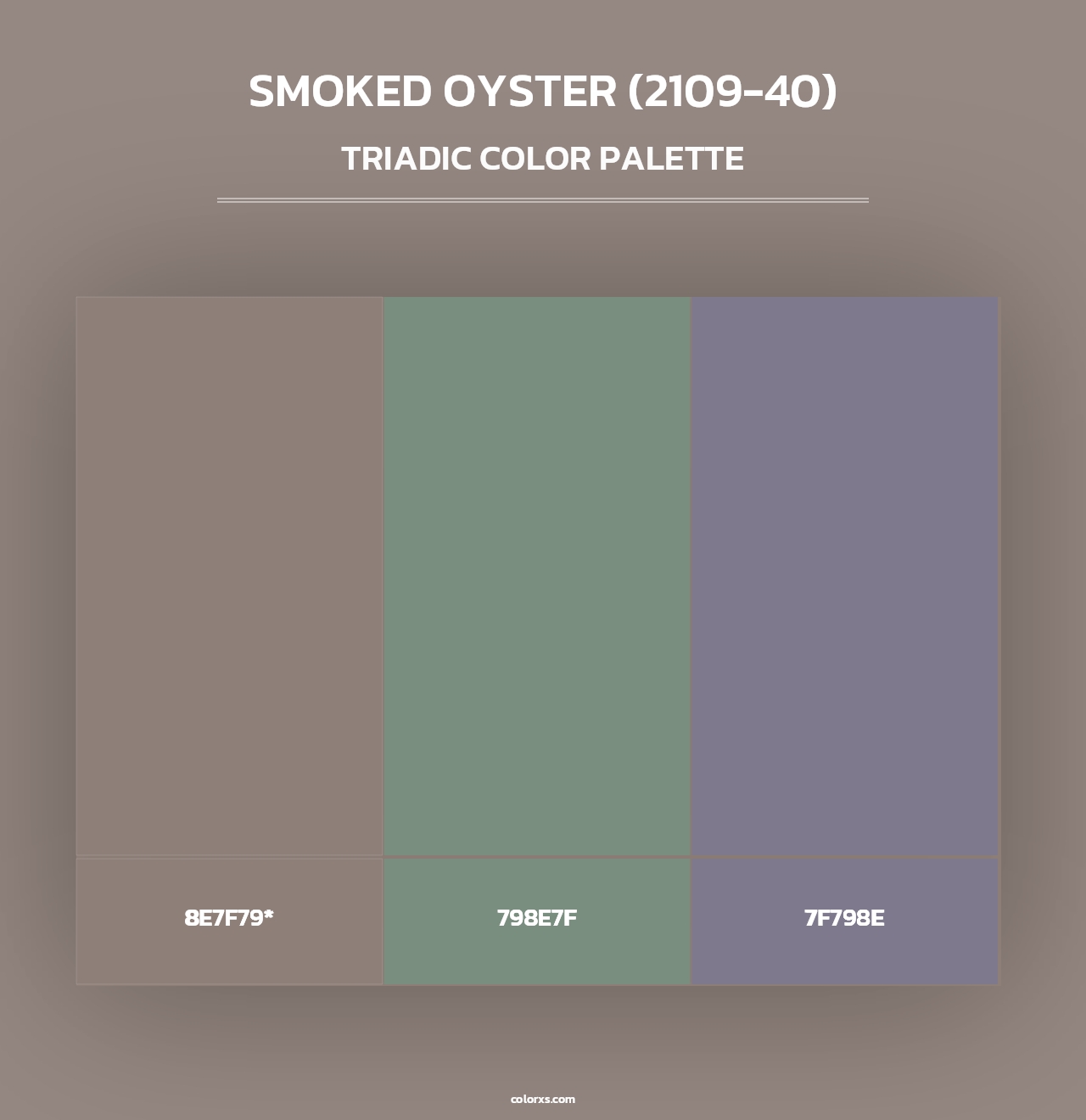 Smoked Oyster (2109-40) - Triadic Color Palette