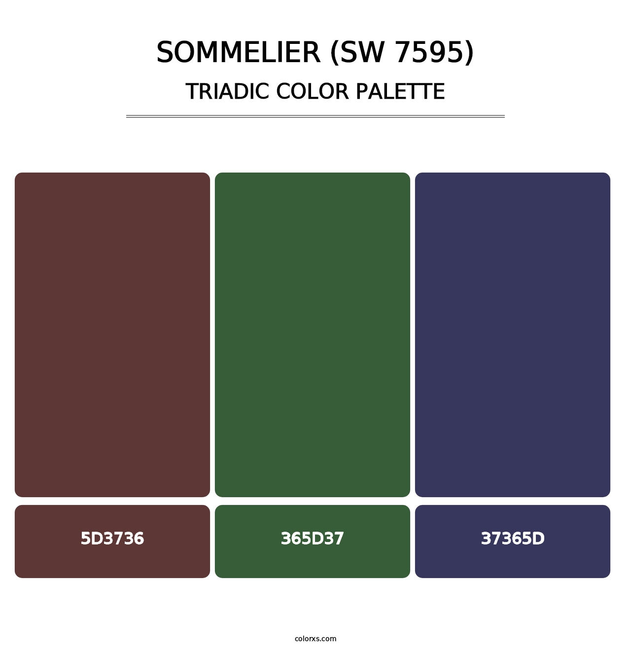 Sommelier (SW 7595) - Triadic Color Palette