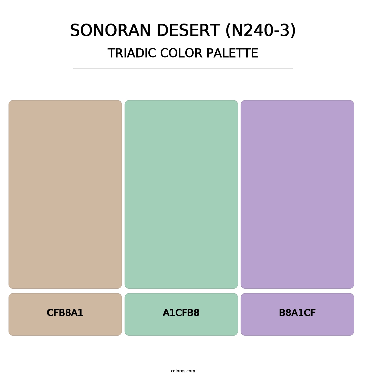 Sonoran Desert (N240-3) - Triadic Color Palette