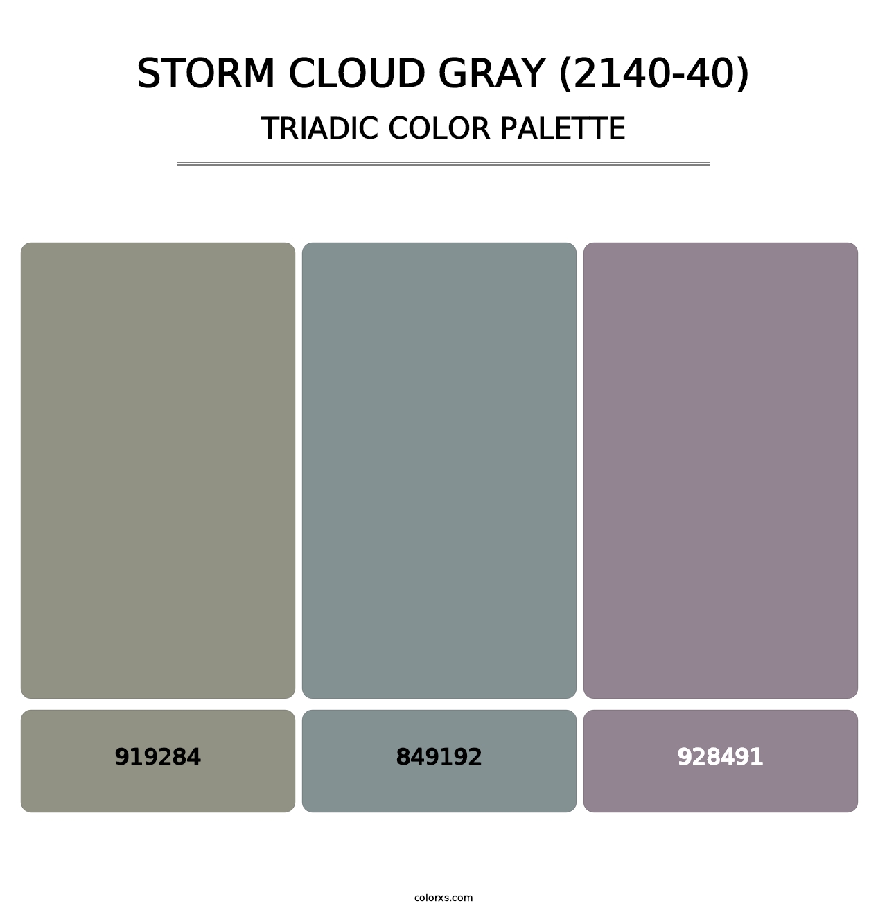 Storm Cloud Gray (2140-40) - Triadic Color Palette
