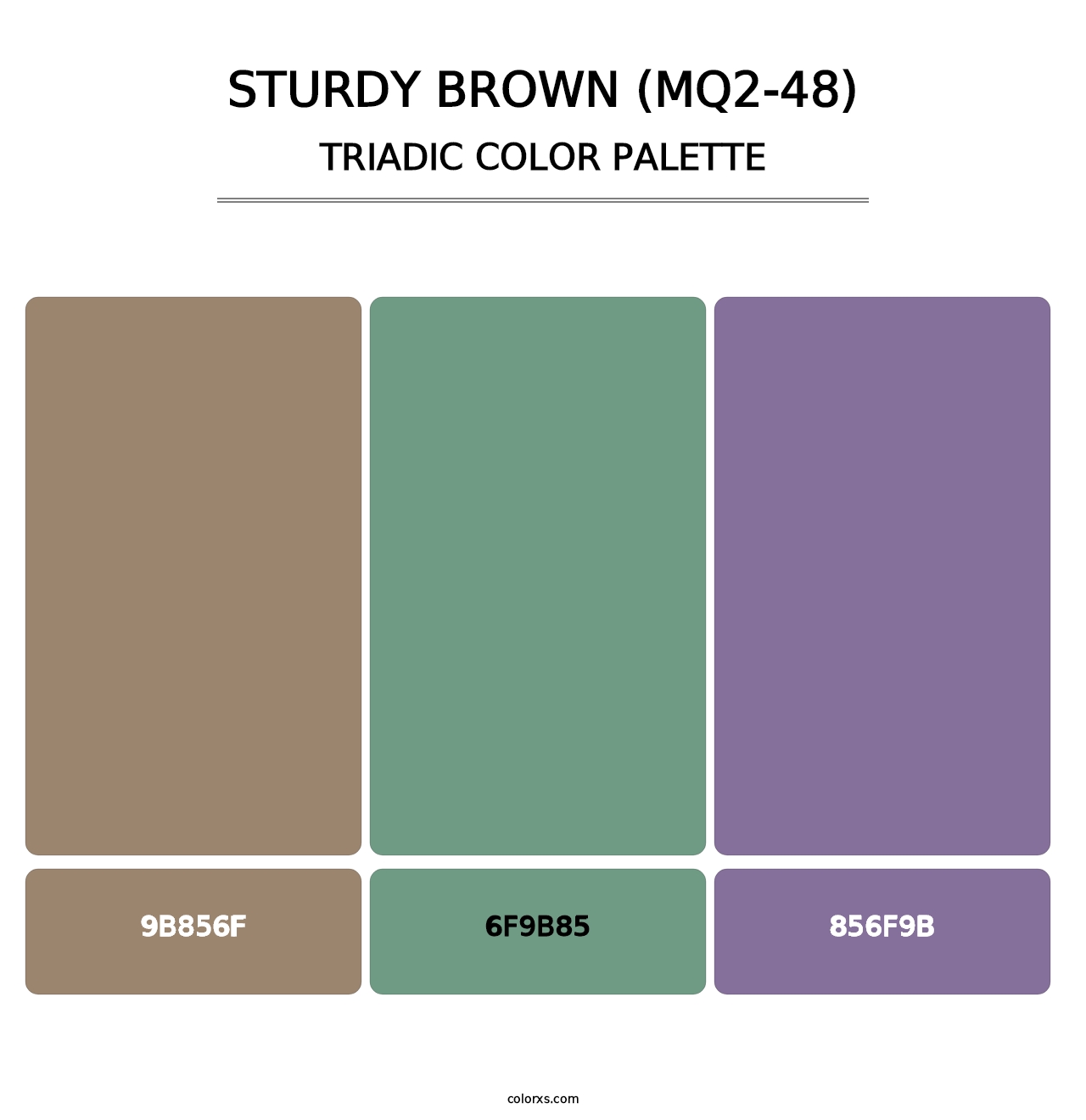 Sturdy Brown (MQ2-48) - Triadic Color Palette
