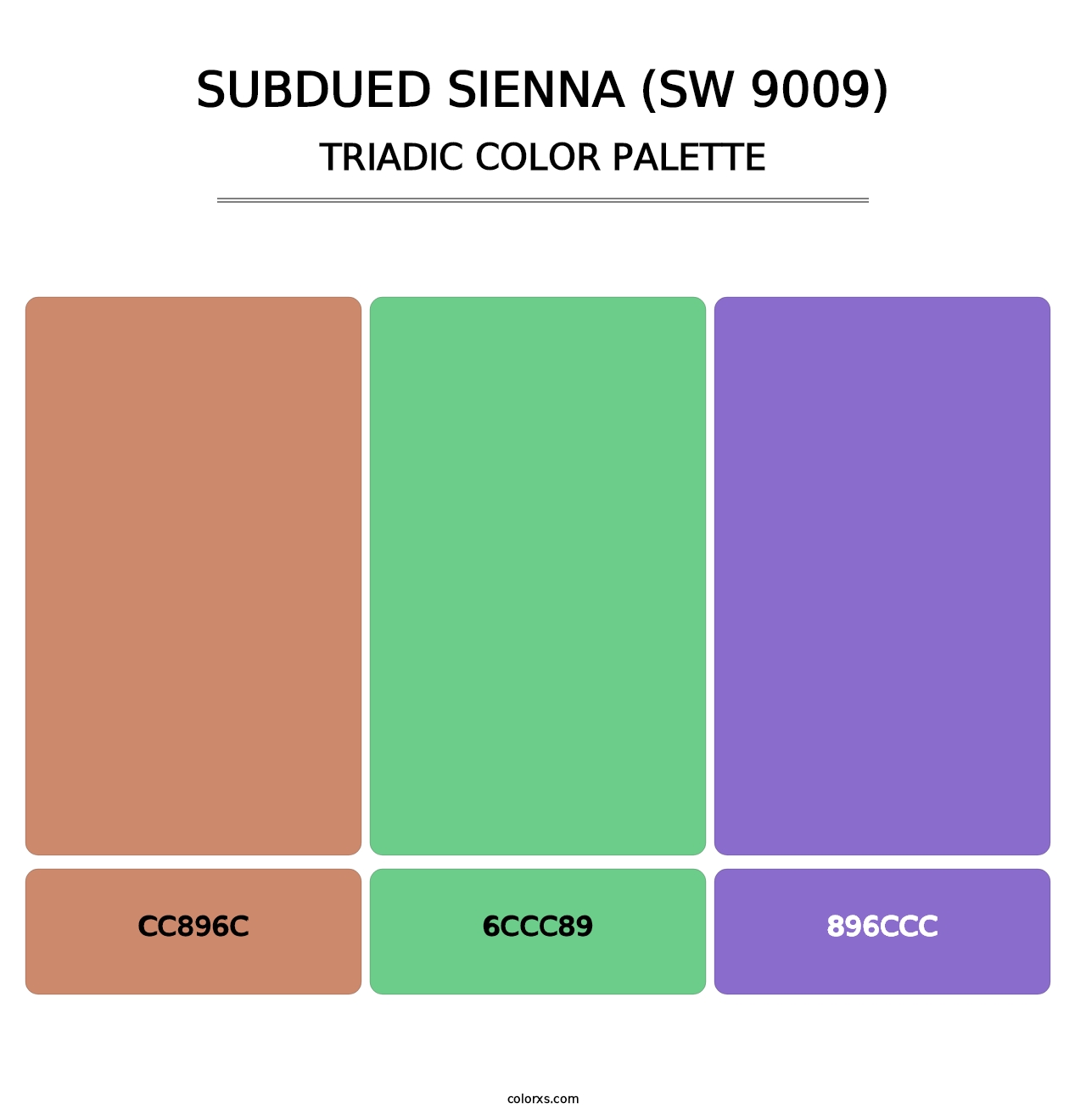 Subdued Sienna (SW 9009) - Triadic Color Palette