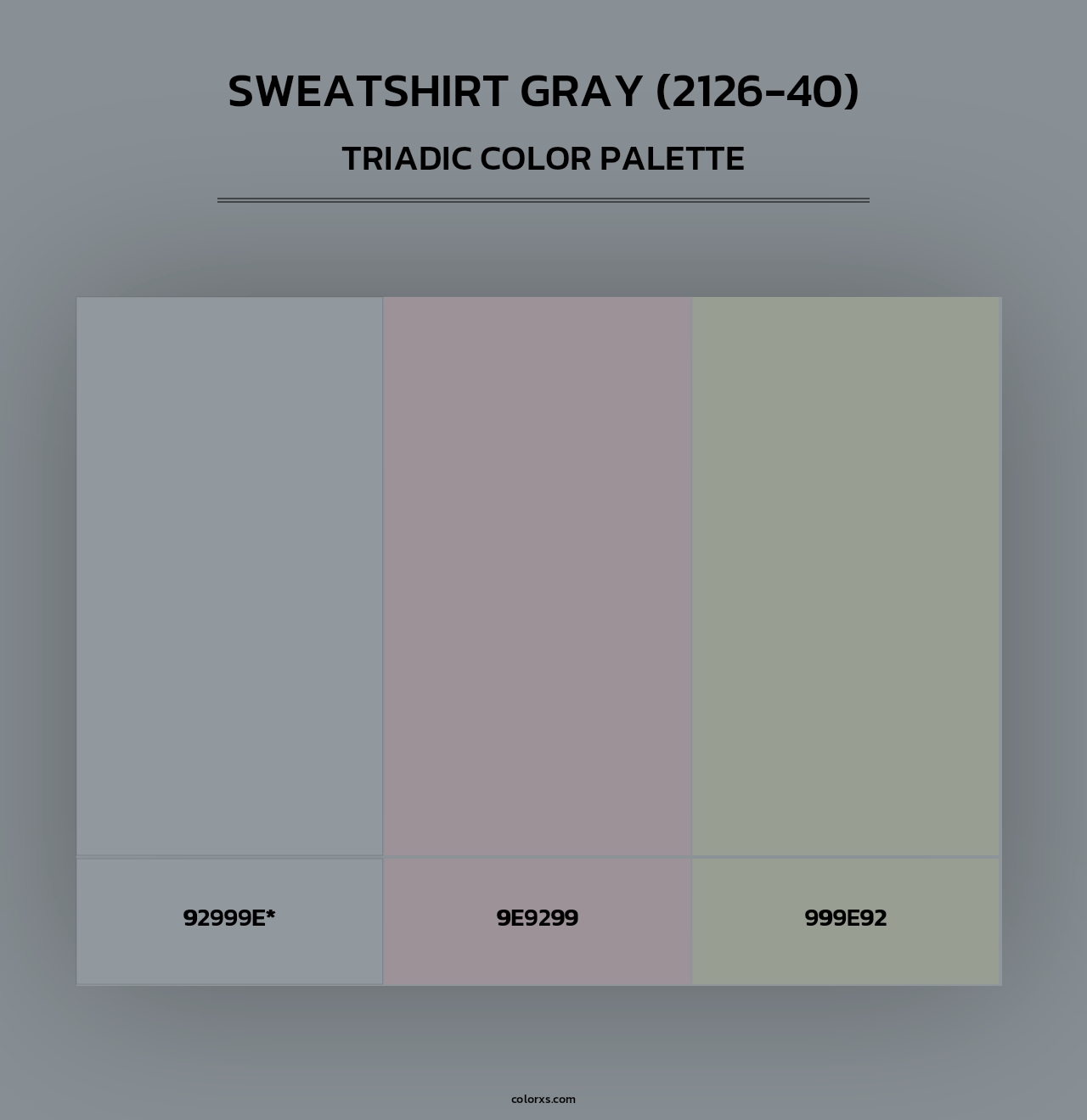 Sweatshirt Gray (2126-40) - Triadic Color Palette