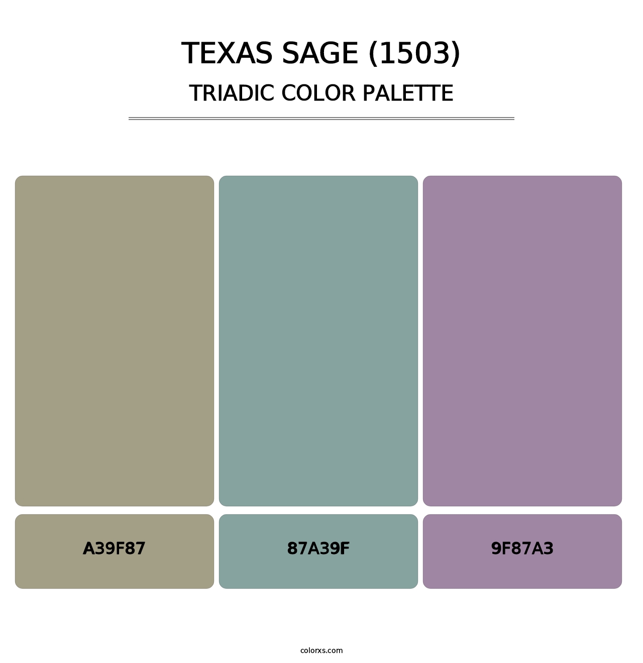 Texas Sage (1503) - Triadic Color Palette