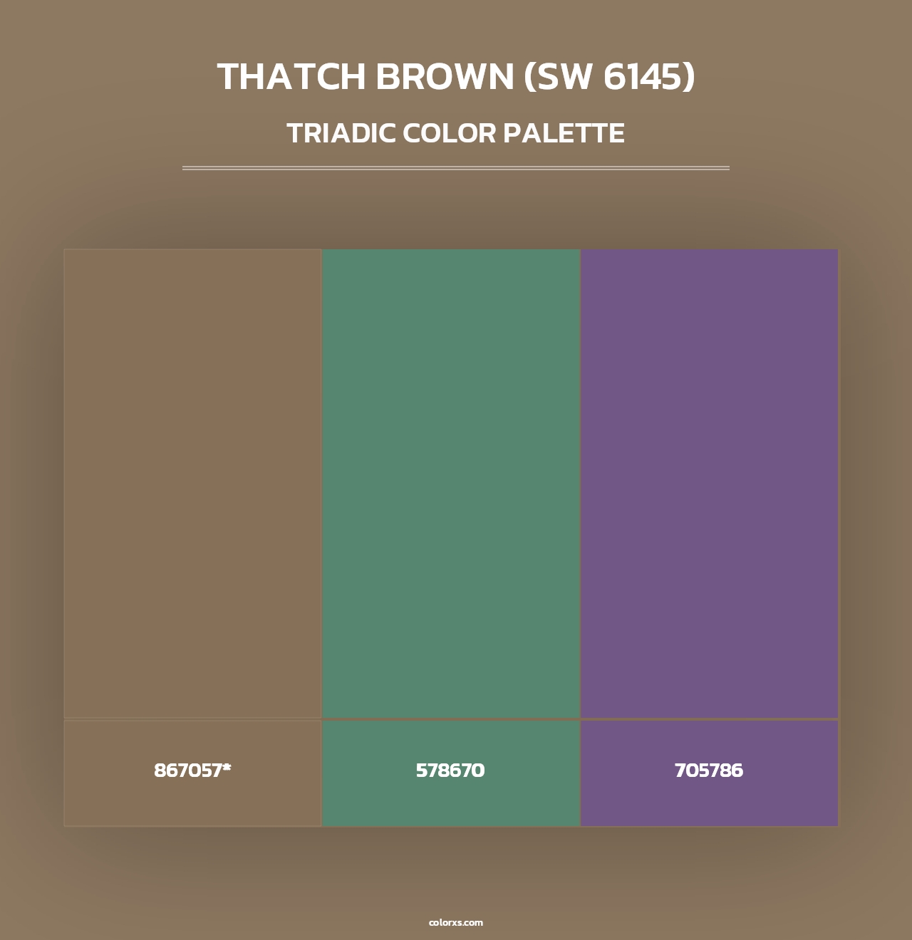 Thatch Brown (SW 6145) - Triadic Color Palette